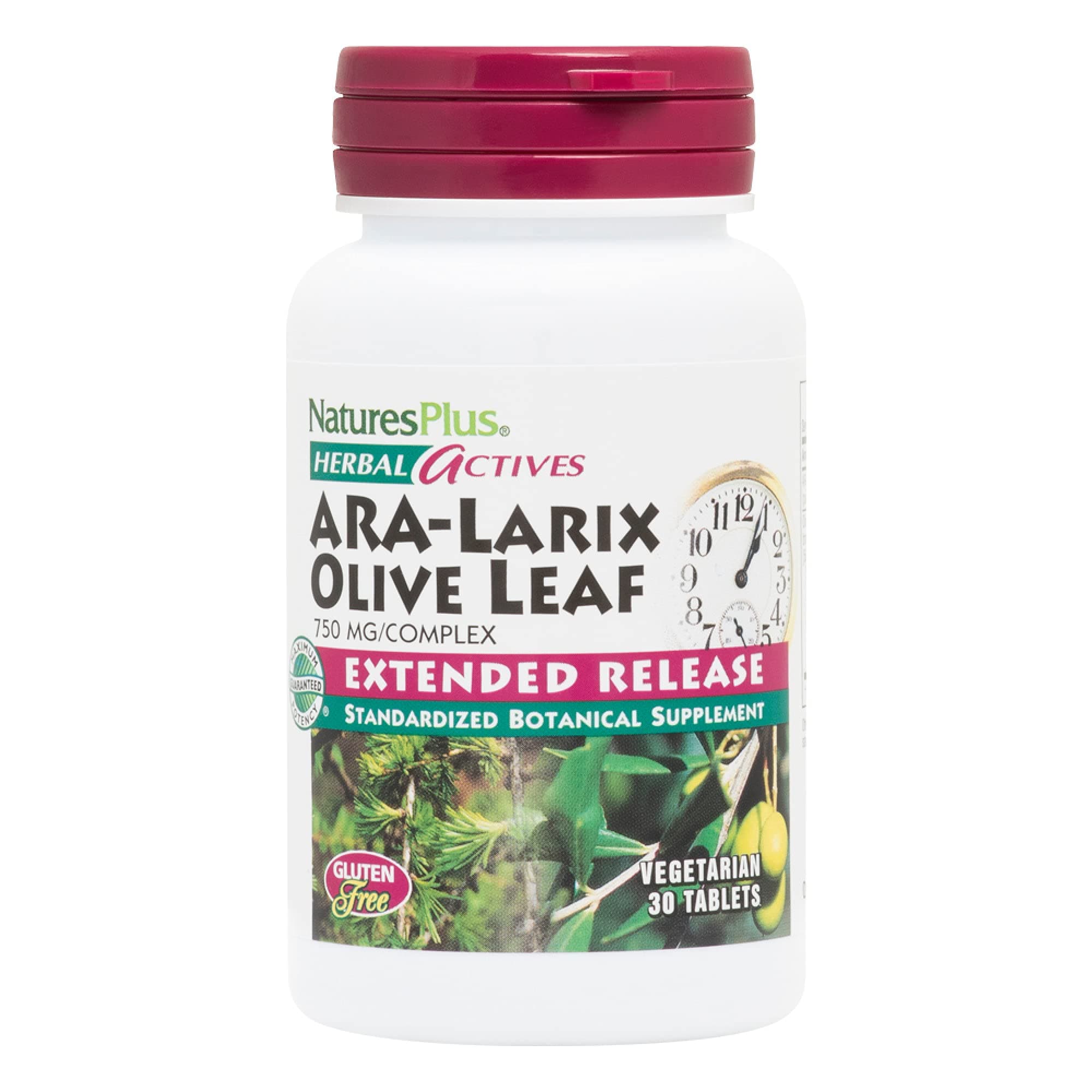 NaturesPlus Herbal Actives ARA Larix Olive Leaf - 30 Tablets - Immune Support Supplement, Extended Release Botanical Complex - Vegetarian, Gluten Free - 30 Servings