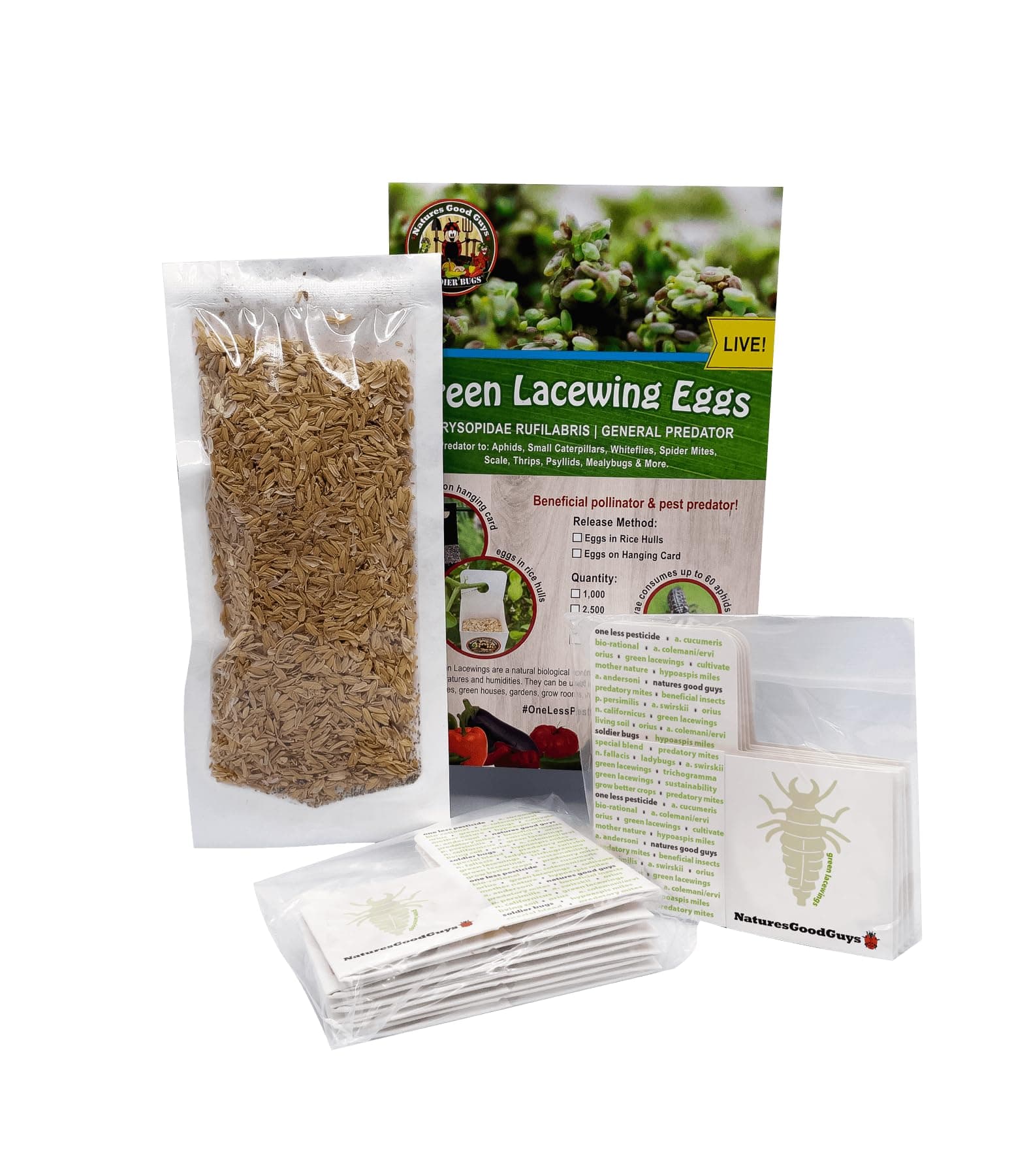 NaturesGoodGuys - Green Lacewing Eggs (2500 Eggs)