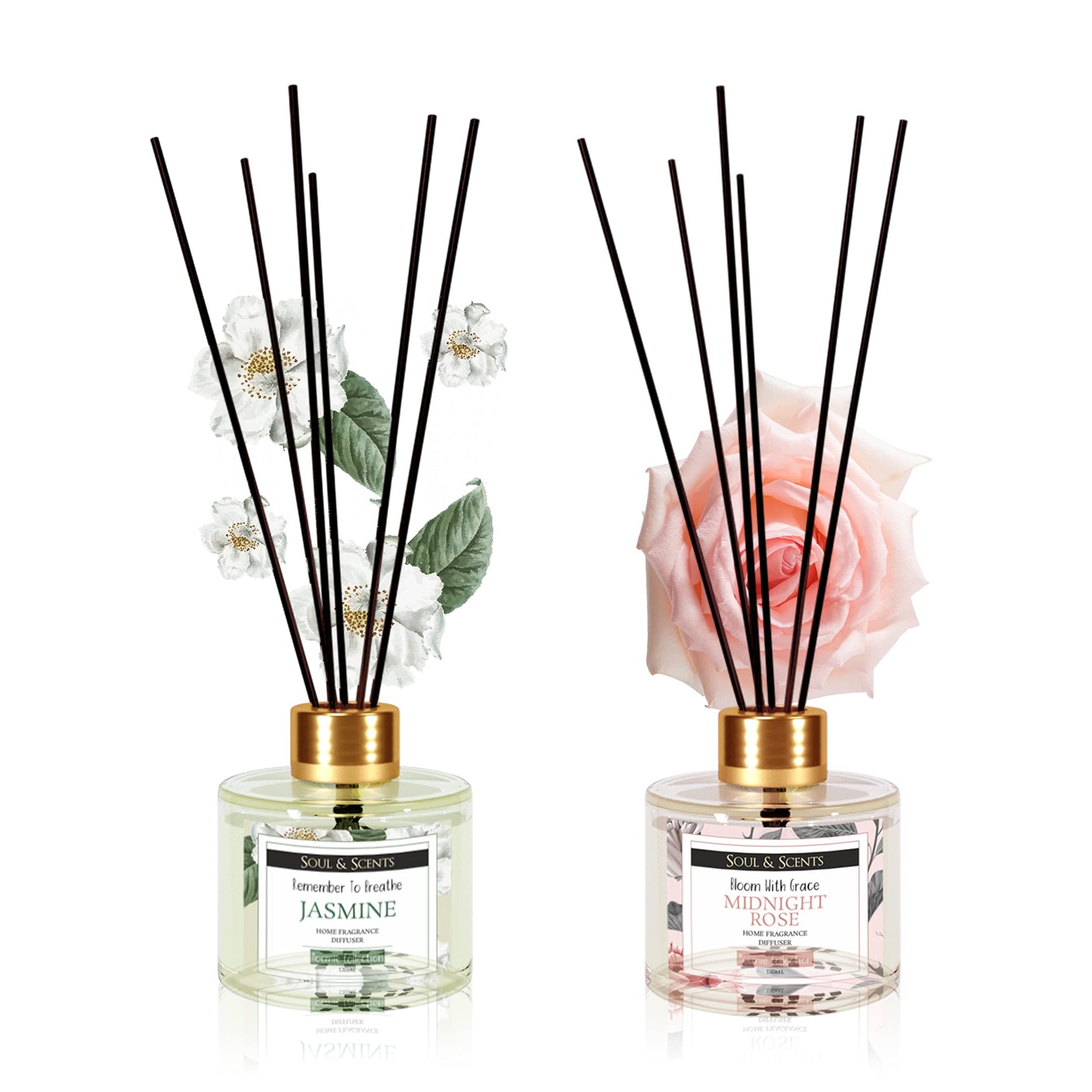 Jasmine and Midnight Rose Reed Diffuser Set - 120ml with Free 6 Fiber Reed Sticks Each| Toxin Free & Stress Relief|Long Lasting|Room Freshener for Home, Bedroom & Office| Combo Pack of 2