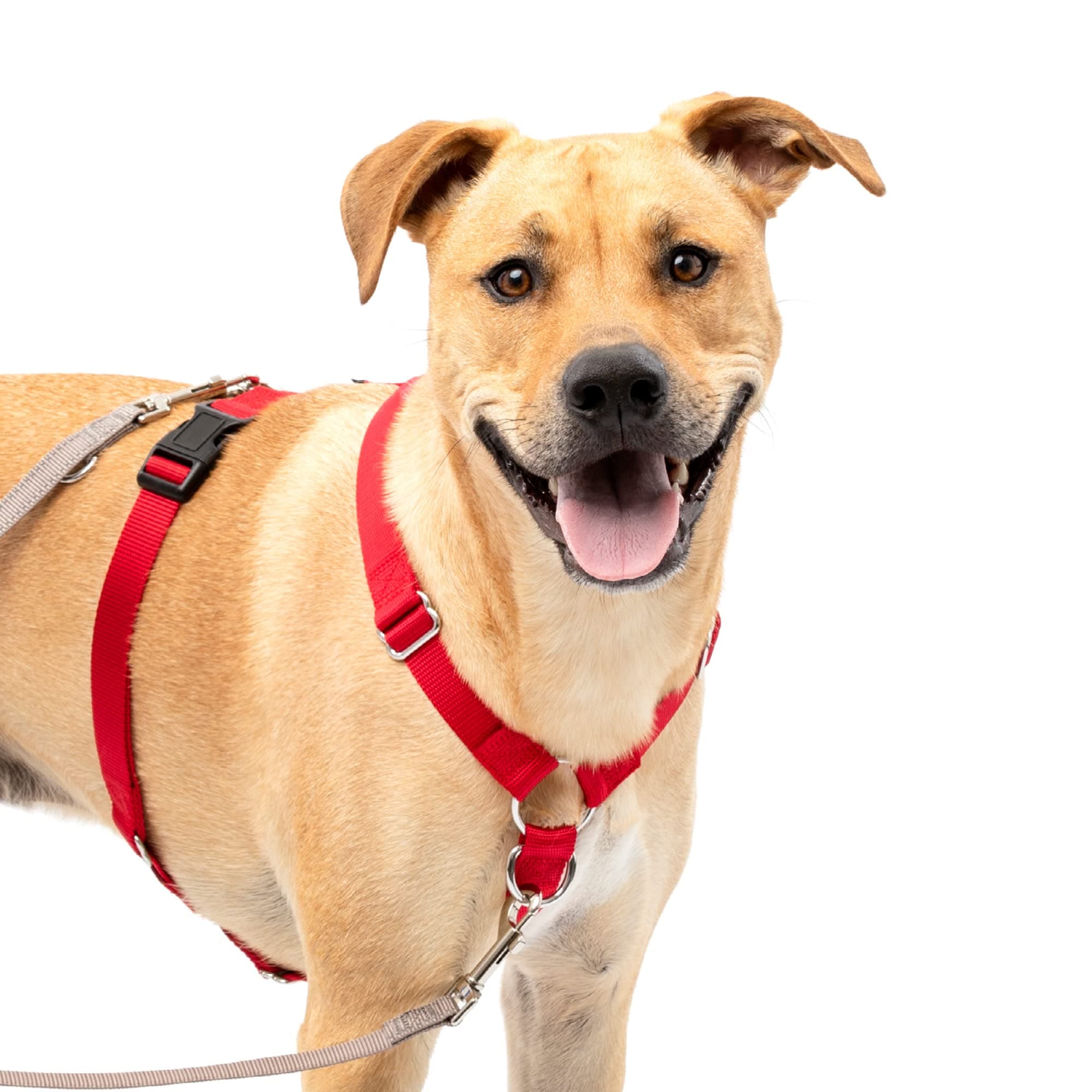 PetSafe Sure-Fit Harness – Five Point Adjustable Dog Harness – from The Makers of The Easy Walk Harness – Large, Red