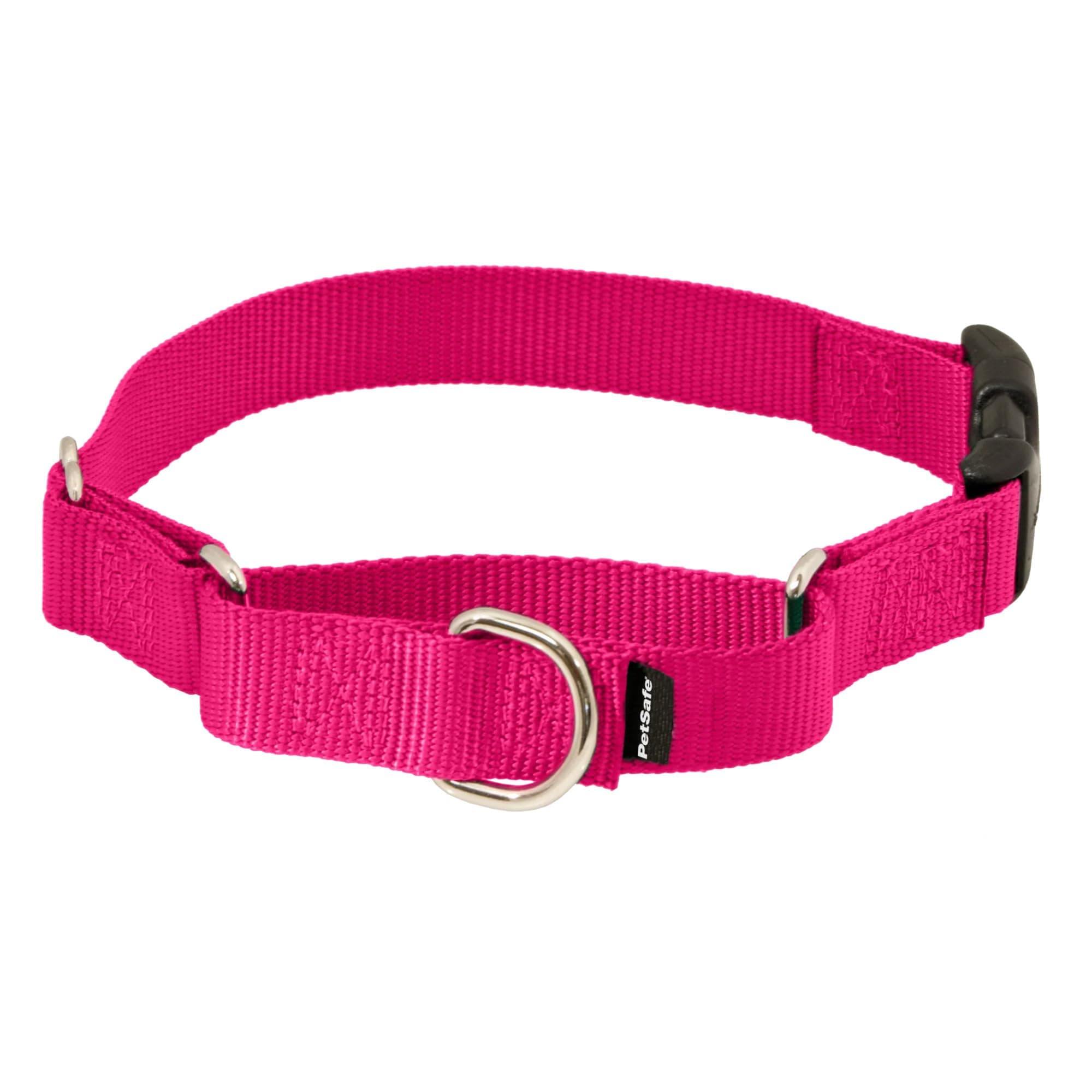 Martingale Collar with Quick-Snap Buckle - Adjustable No-Slip Quick Release Dog Collar - Everyday Wear No-Pull Training Aid - 1" Wide - Medium - Raspberry