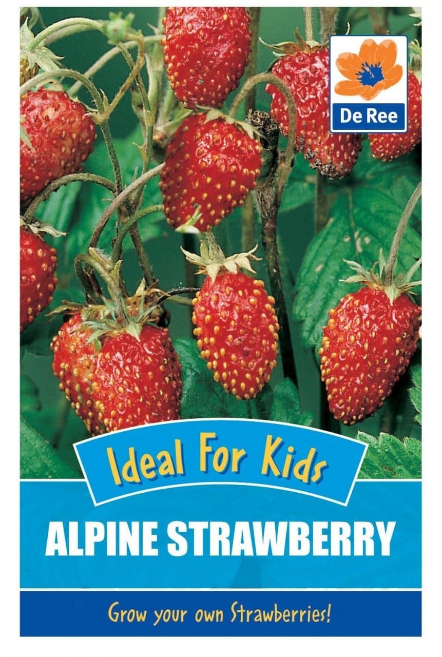 Alpine Strawberry Seeds