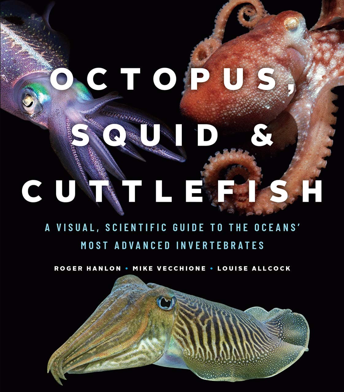 Octopus, Squid, and Cuttlefish: A Visual, Scientific Guide to the Oceans' Most Adv