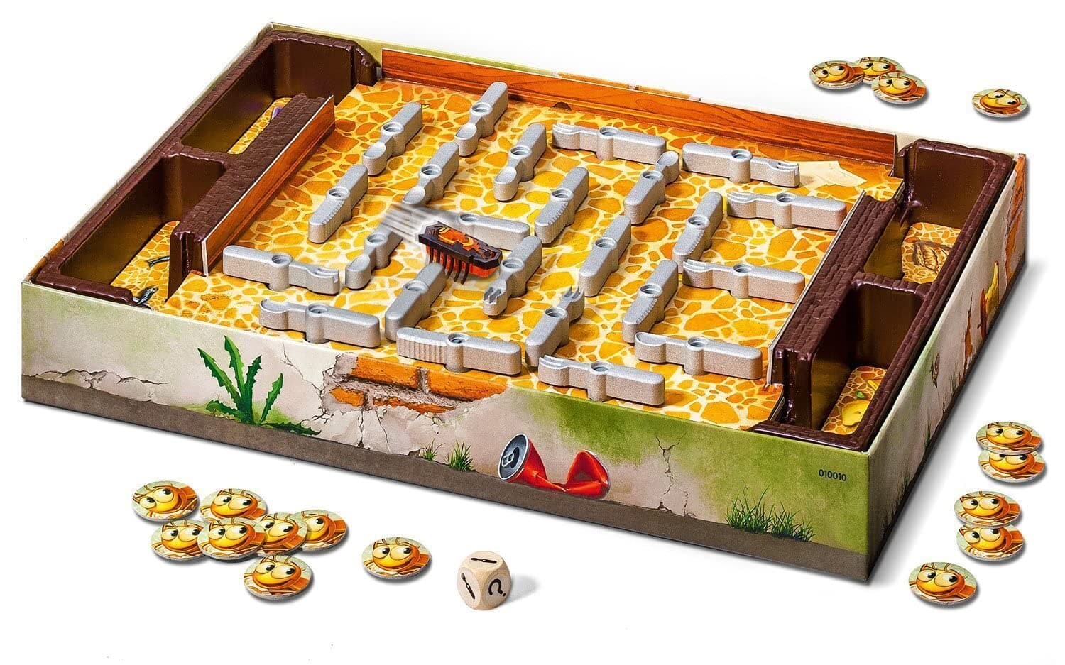 Adult Bugs in The Kitchen