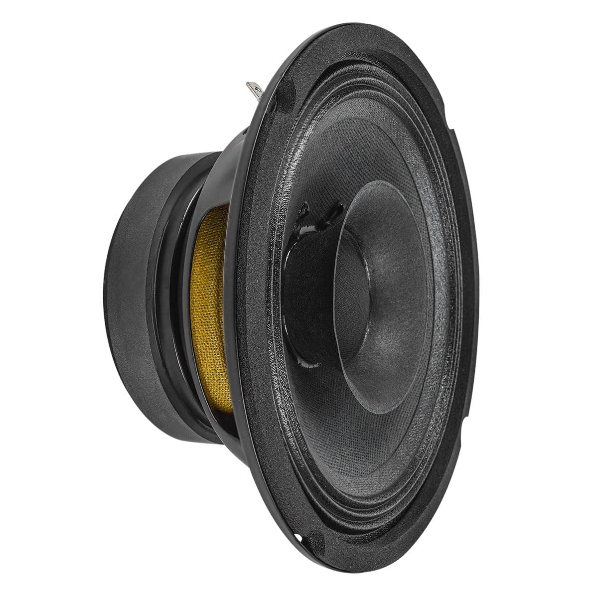 PRV AUDIO 6FR200 6 Inch Full Range Speaker, 8 Ohms, 200 Watts Continuous Program Power, 100 Watts RMS Power, 92.5 dB, Full-Range Driver, Loudspeaker for Pro Audio Systems (Single)