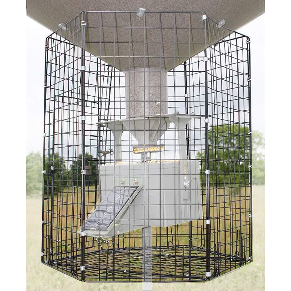 Varmint Cage, Black, Large