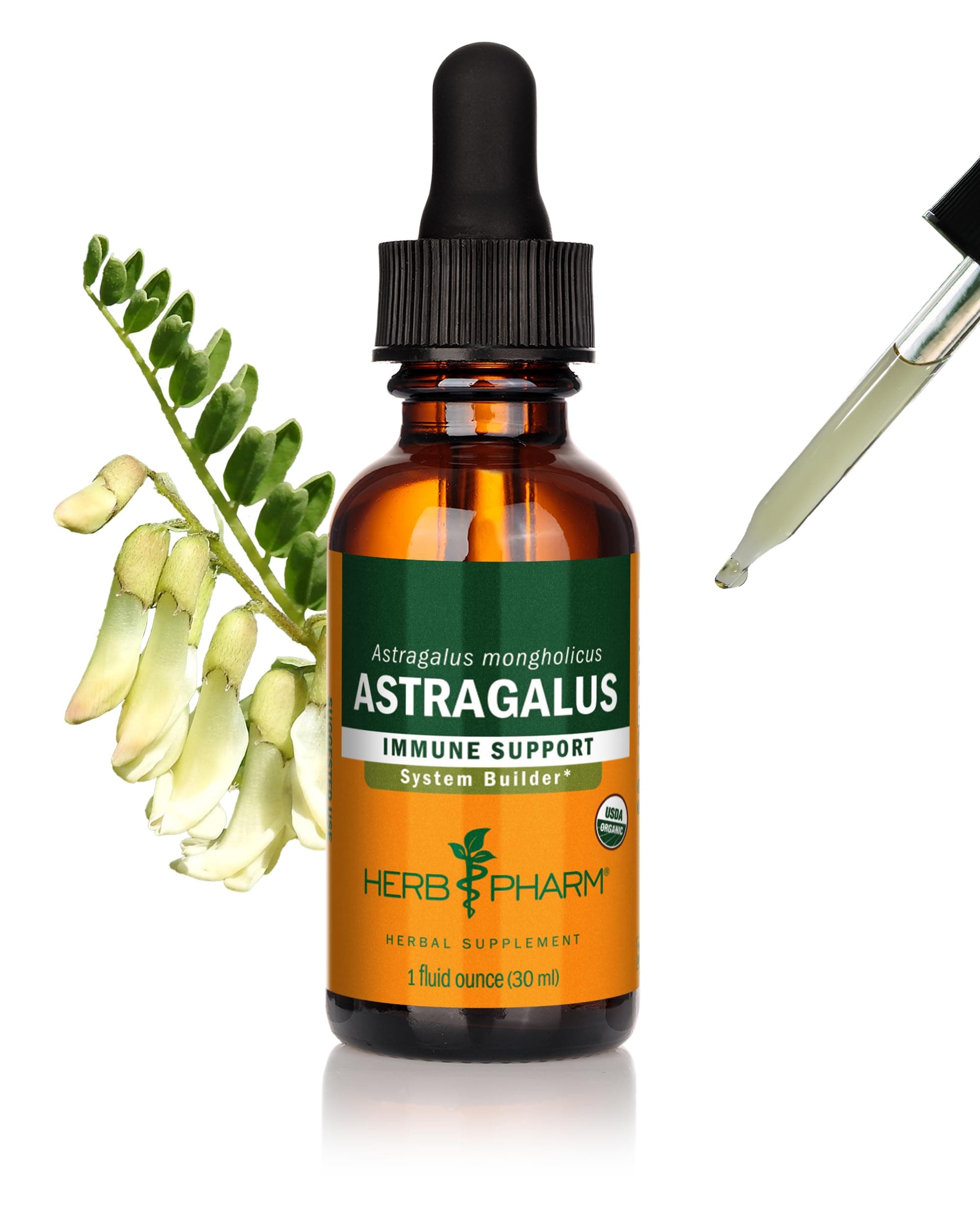 Herb Pharm Certified Organic Astragalus Liquid Extract for Immune System Support - 1 Oz