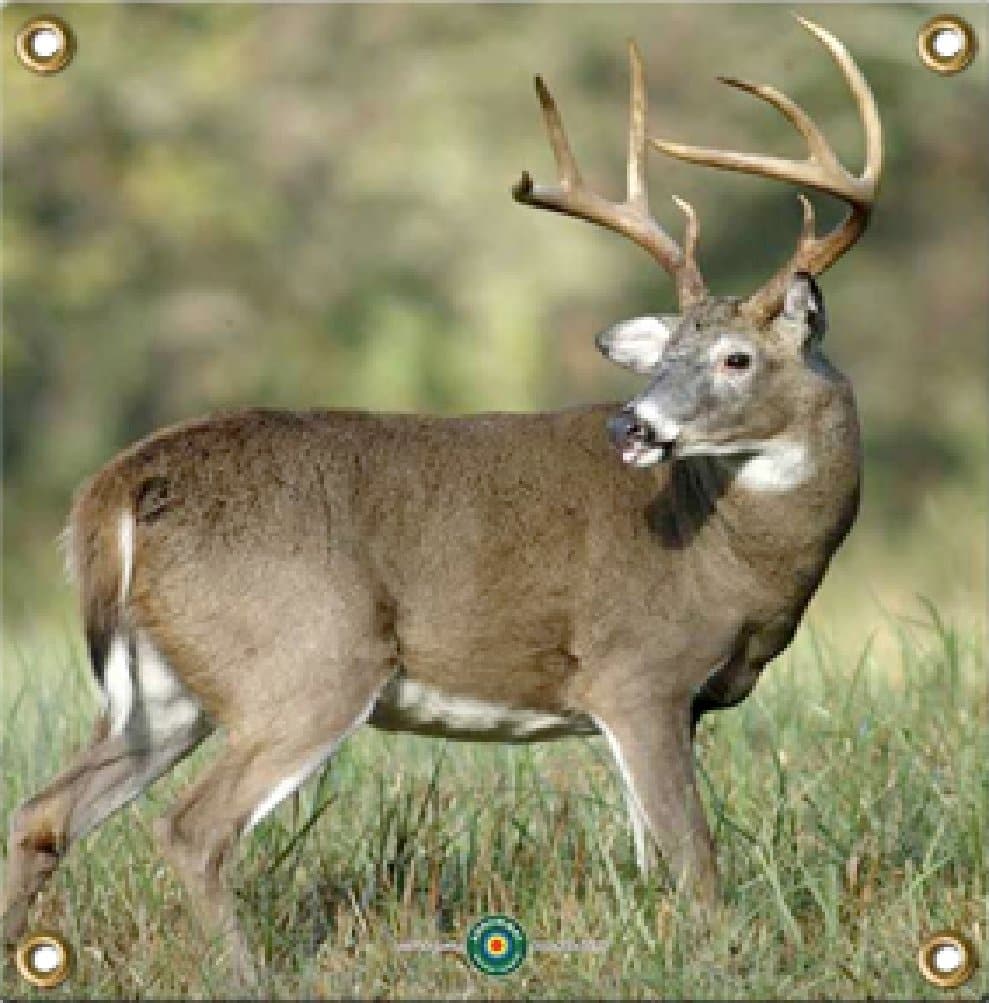 Arrowmat Llc Arrow Mat Deer Target 17"x17"