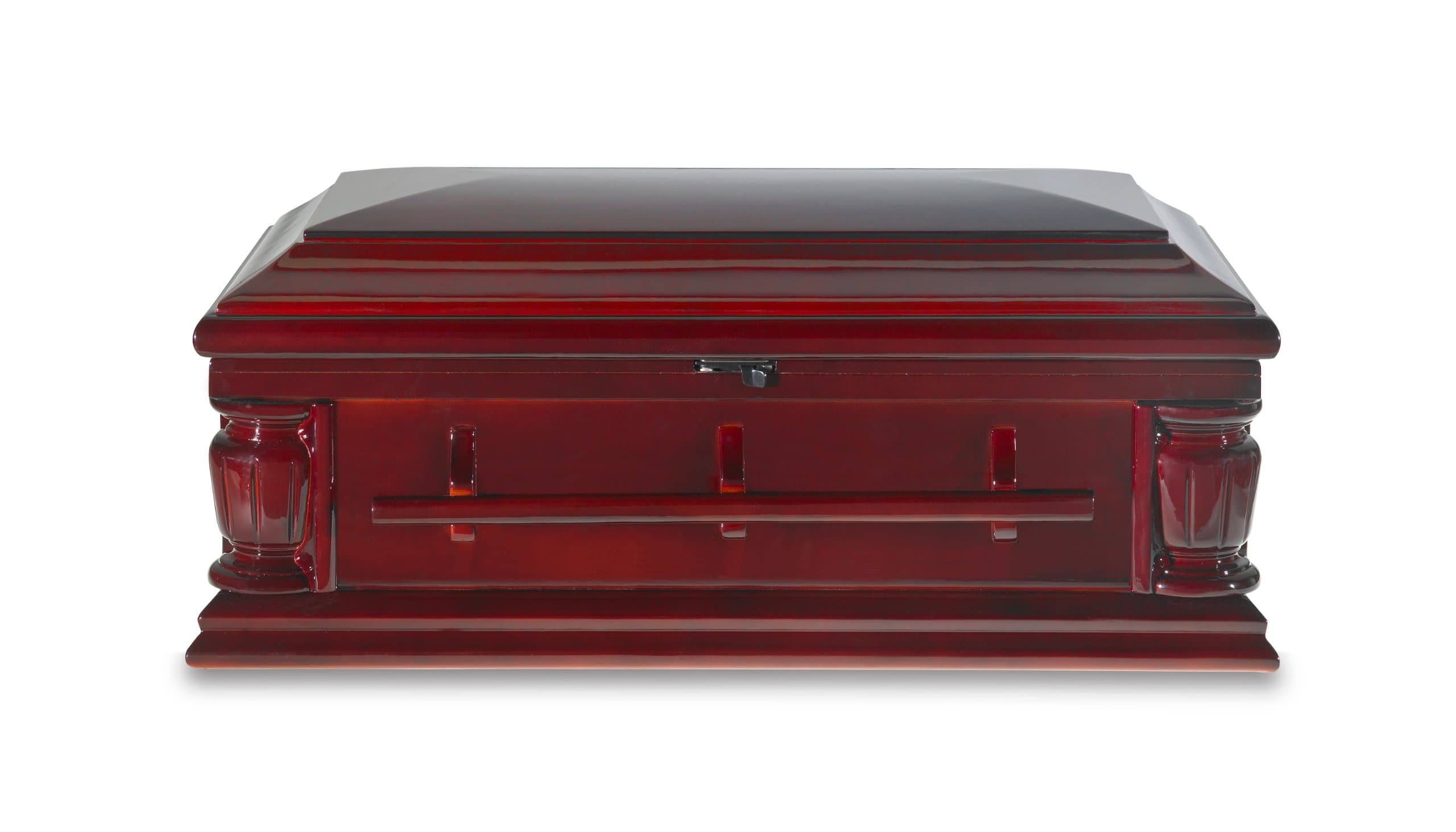 Paws Rest Premium Pet Casket, Large