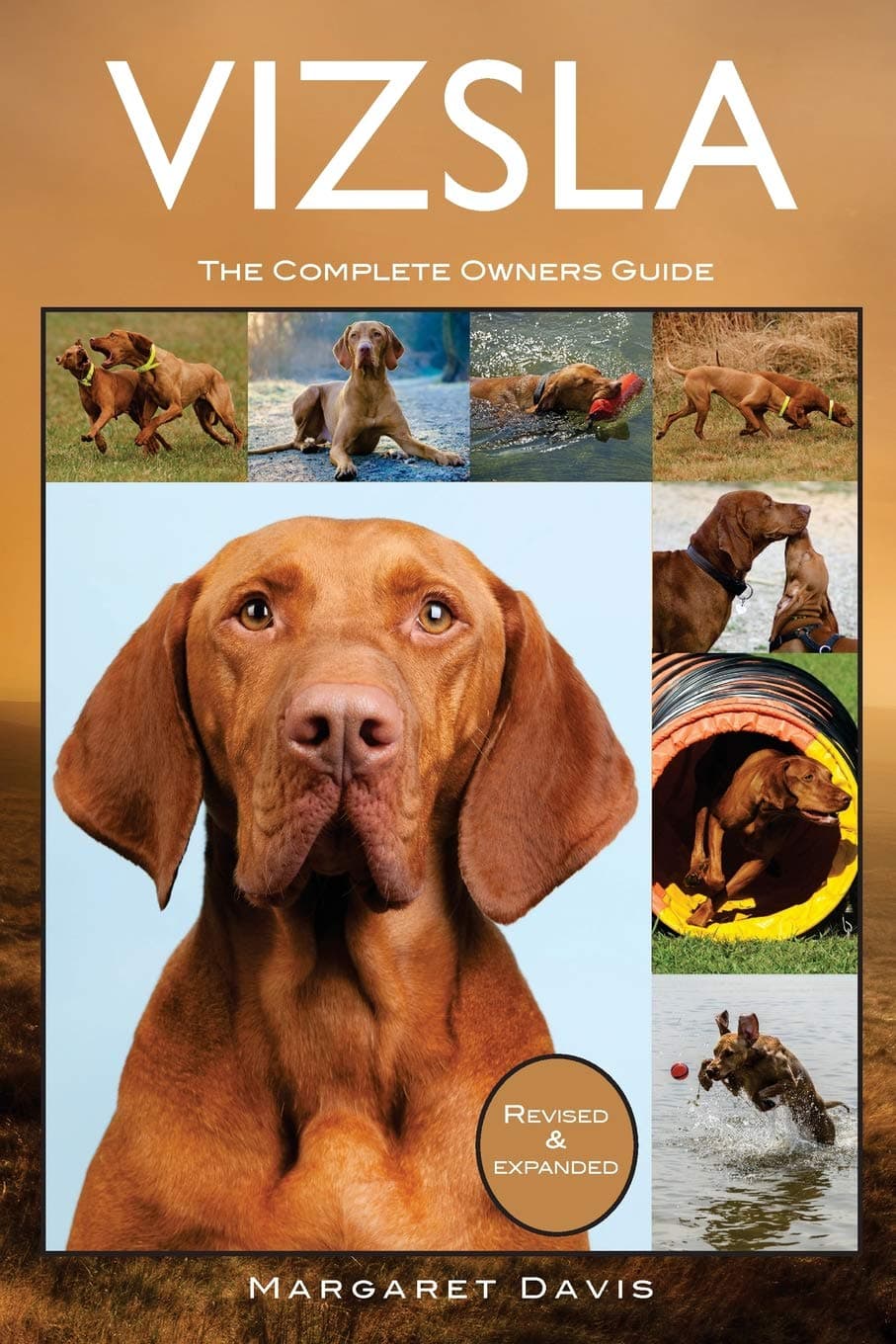 Vizsla: The Complete Owners Guide Paperback – July 23, 2017