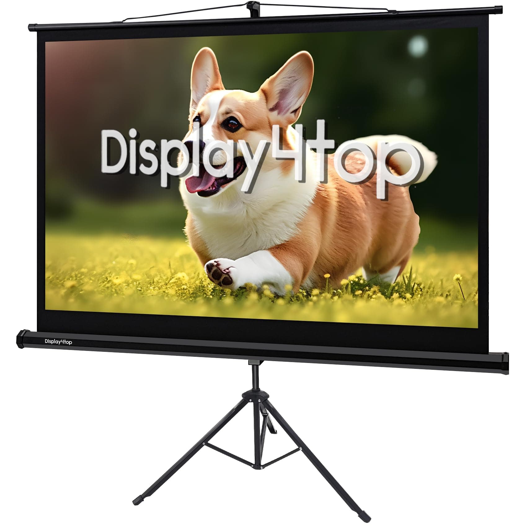 D4P Display4top 60 Inch Projector Screen with Tripod 4:3 Projection Screen for Home Cinema Indoor Outdoor Projector Film Screen, Size: 122 cm (W) x 91 cm (H)