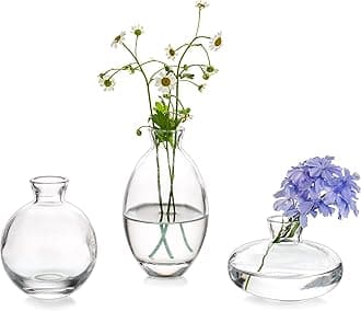 Glasseam Small Vase for Table Decoration Handmade Glass Vases for Flowers, 3Pcs Clear Vintage Bud Vases Aesthetic Mini Vase Set for Kawaii Living Room Decor Bedroom Ornaments Wedding Centrepieces