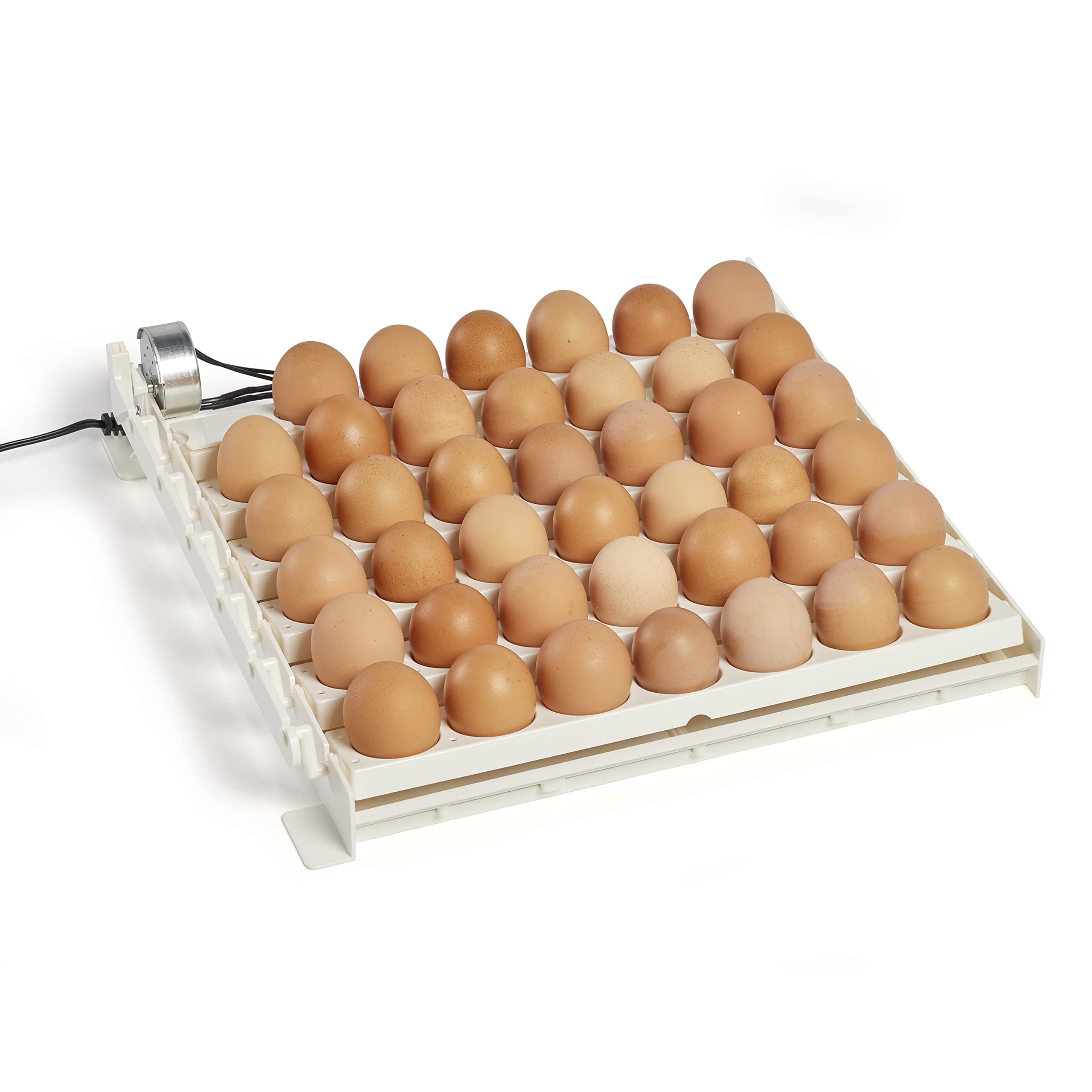 Farm Innovators Automatic Egg Turner, 41 Spot Chicken Egg Turning Tray with Thermometer for Improved Hatching Rate - Compatible with Select Incubators