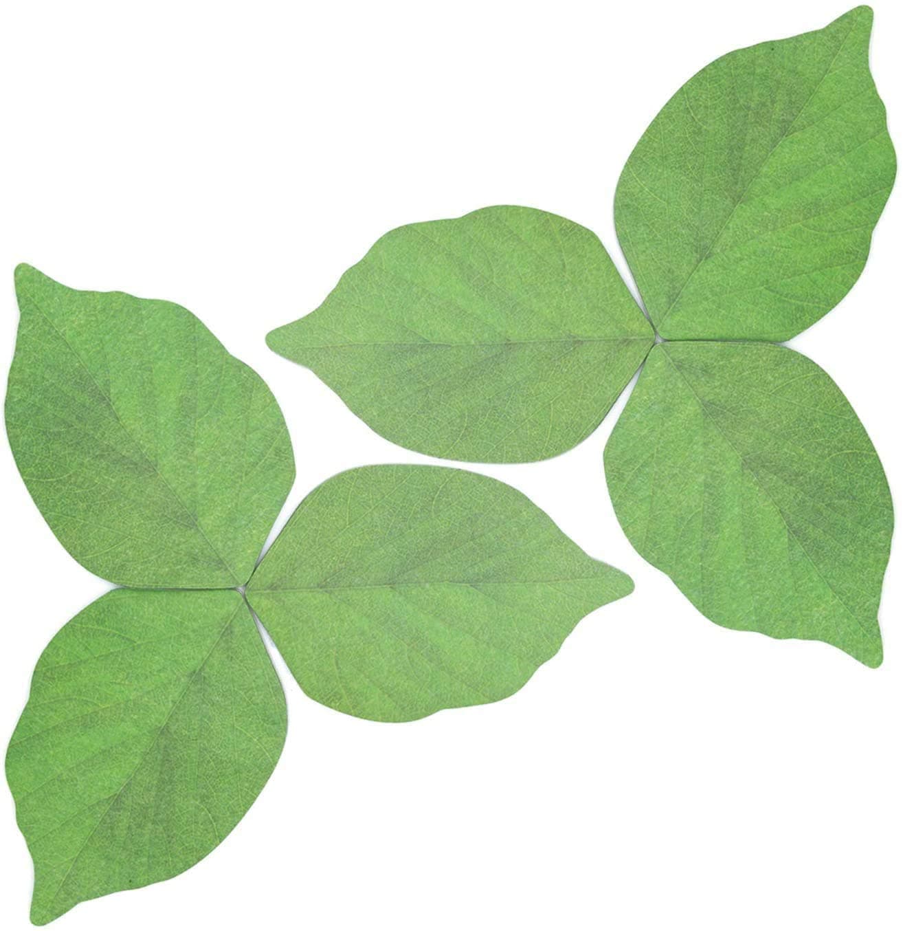 300 Pages Creative Green Tree Leaf Shape Paper Sticky Memo Notes Sticky Note Memo Pad Notepad