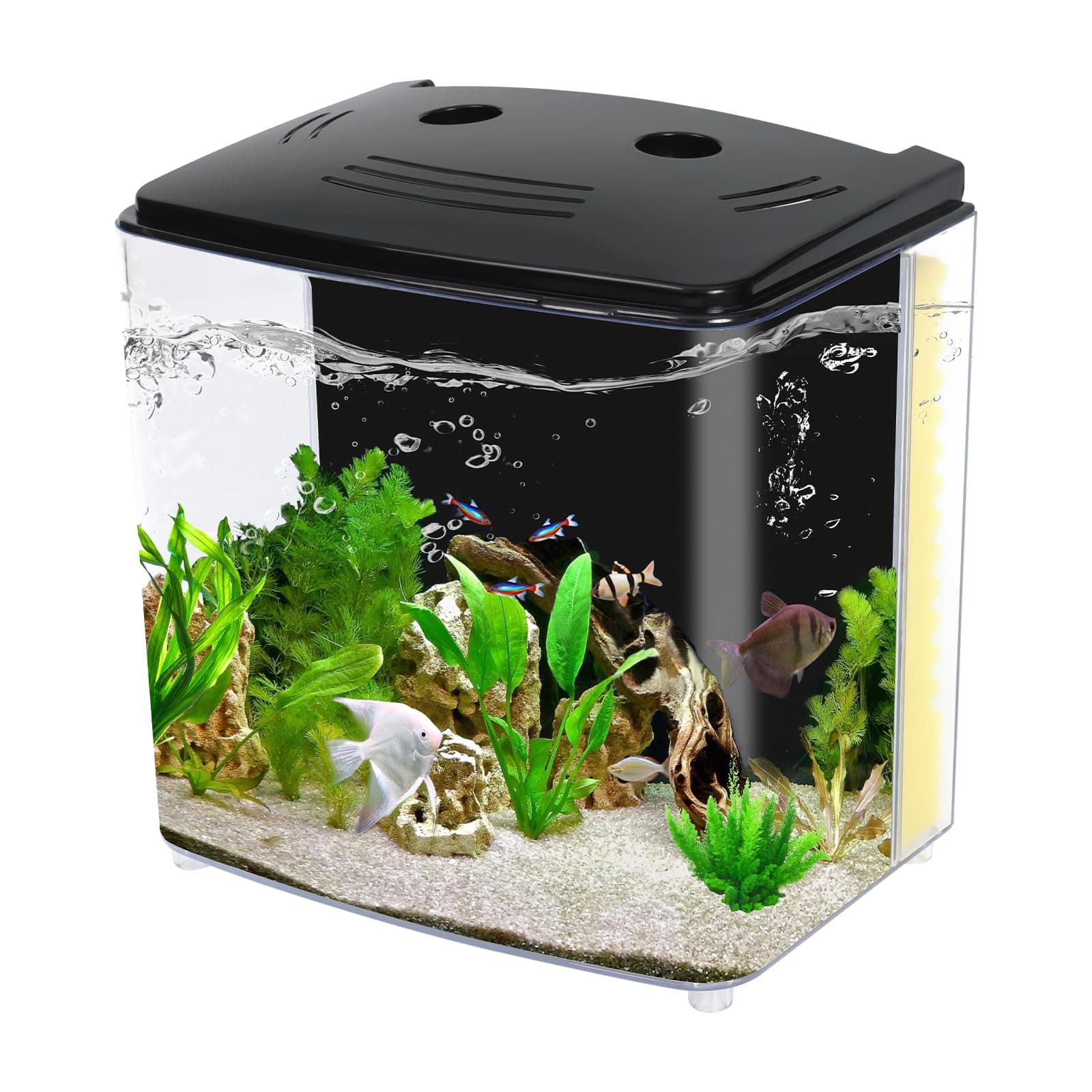 Fish Tank, 1.2 Gallon Aquarium, Small Betta Fish Tank Starter Kit with LED Light and Water Filter Pump, Rectangular