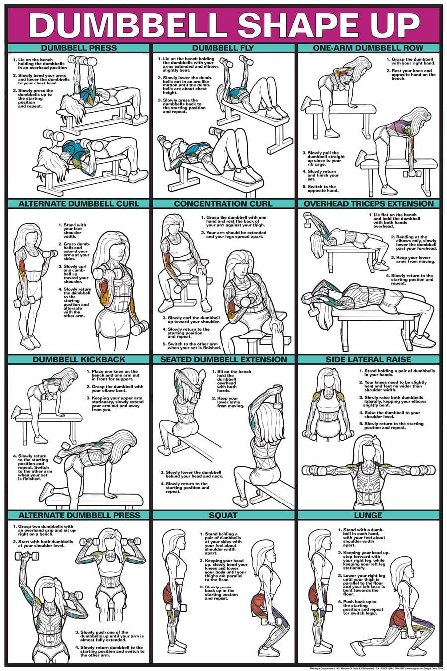 Dumbbell Shape up 24" X 36" Poster