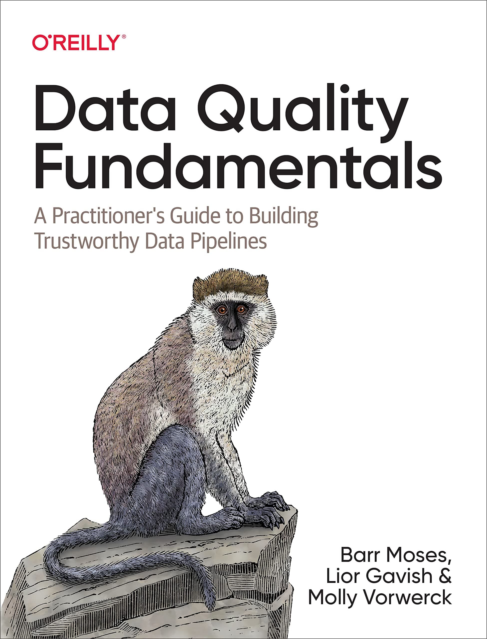 Data Quality Fundamentals Paperback – 11 October 2022