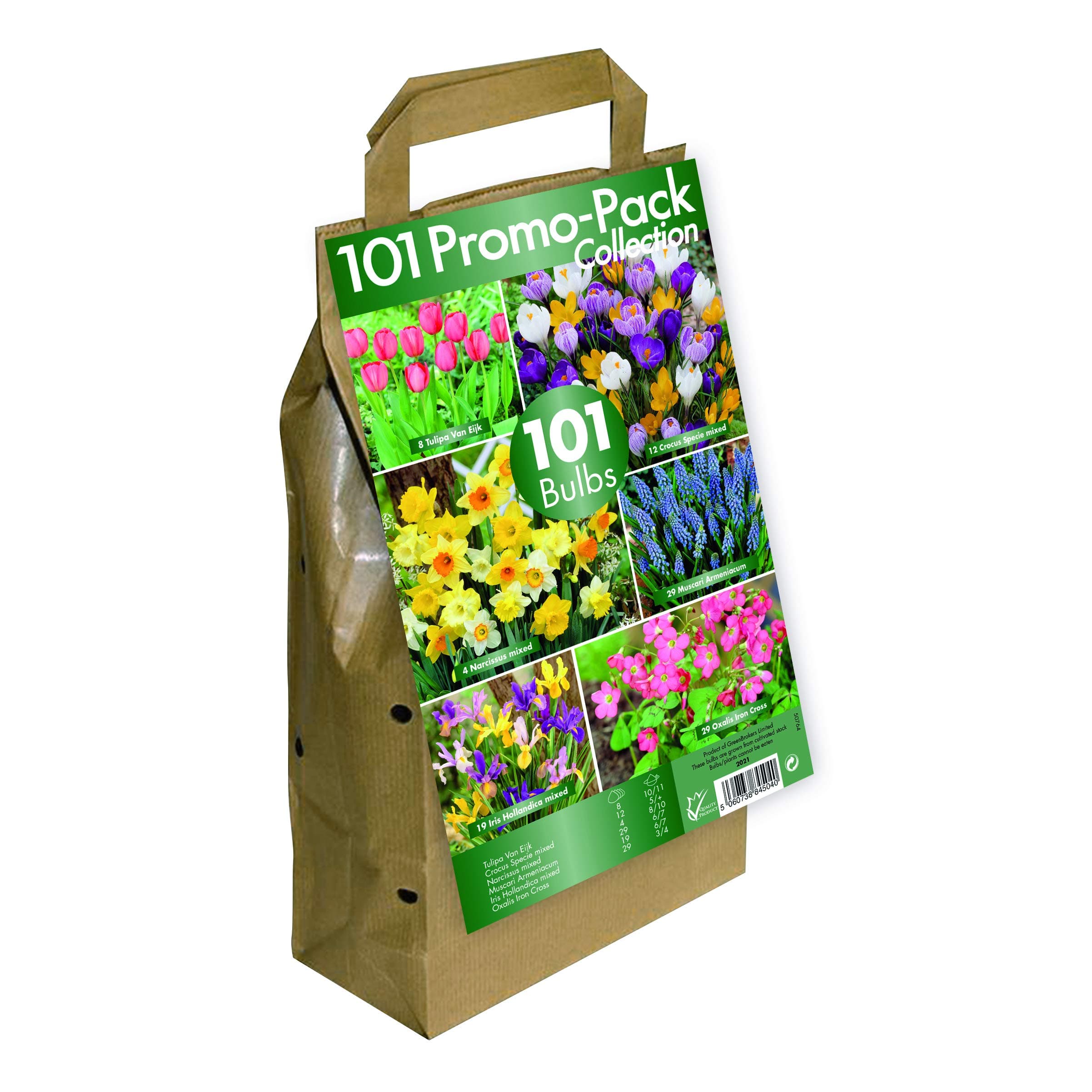 101 Flower Bulb Collection - Big Buy Value Pack - 6 Spring Flowering Varieties (Pack of 101)