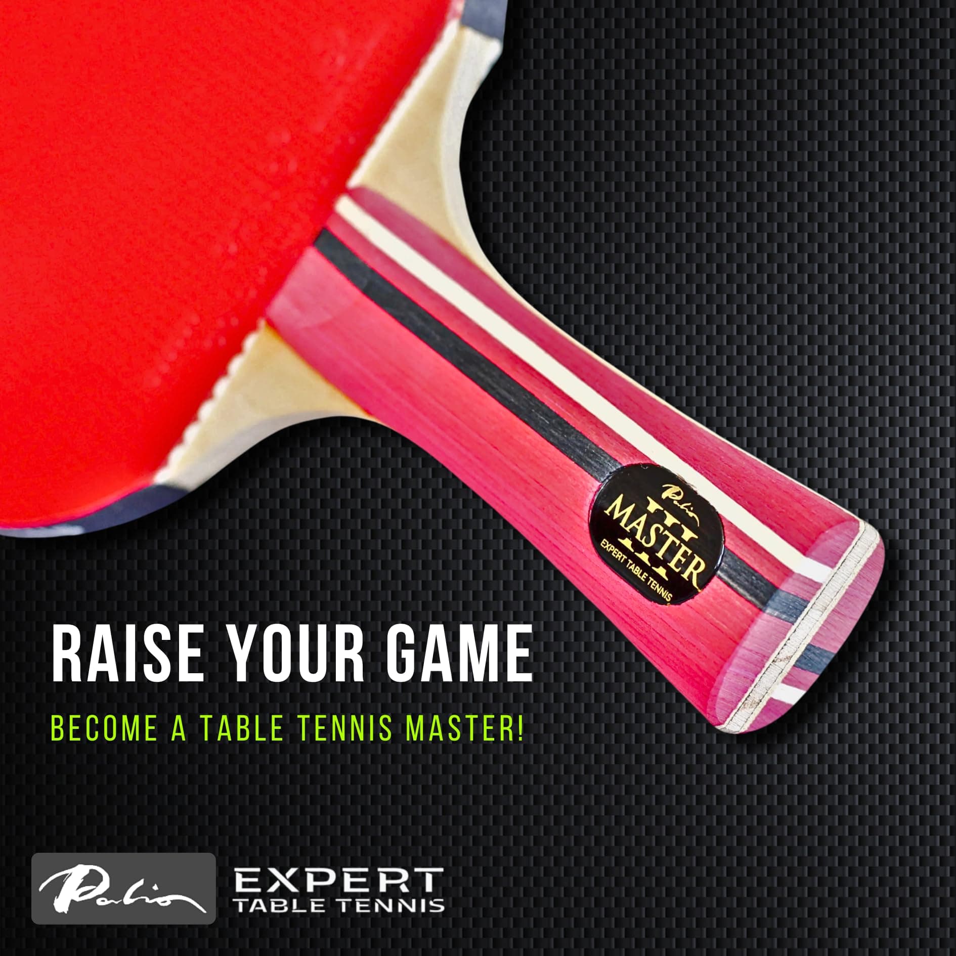 Palio Master 3.0 Table Tennis Racket & Case - ITTF Approved Intermediate Ping Pong Bat