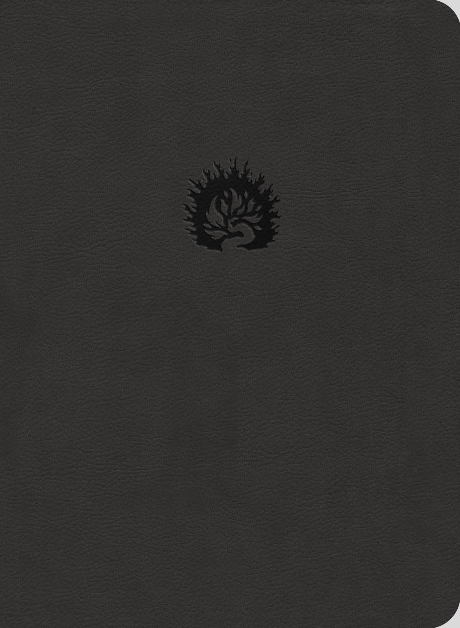 ESV Reformation Study Bible, Charcoal, Leather-Like