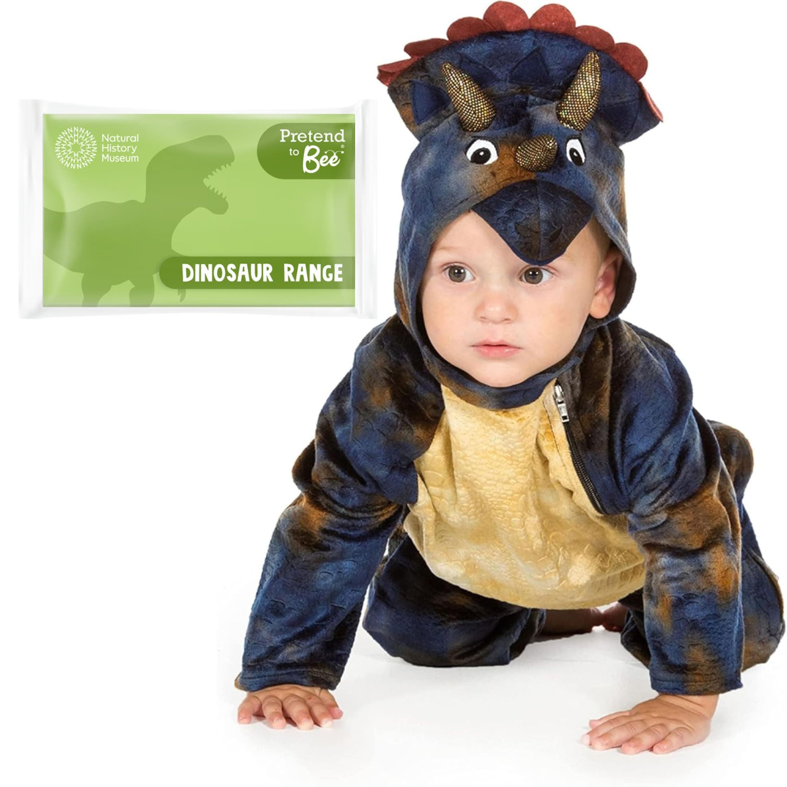 Baby Triceratops