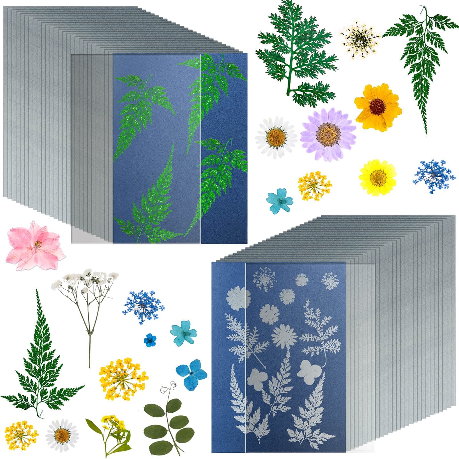 38 Sheets Cyanotype Sun Print Kit With 2 Clear Acrylic Sheets - High Sensitivity Solar Drawing Paper for Nature Printing - A5 Size (5.8 x 8.3 Inch) - DIY Arts and Crafts for Adults and Kids