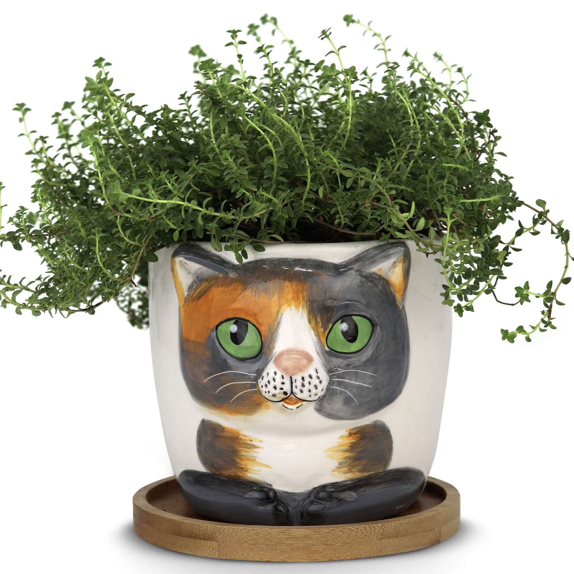 Window Garden Kitty Planter