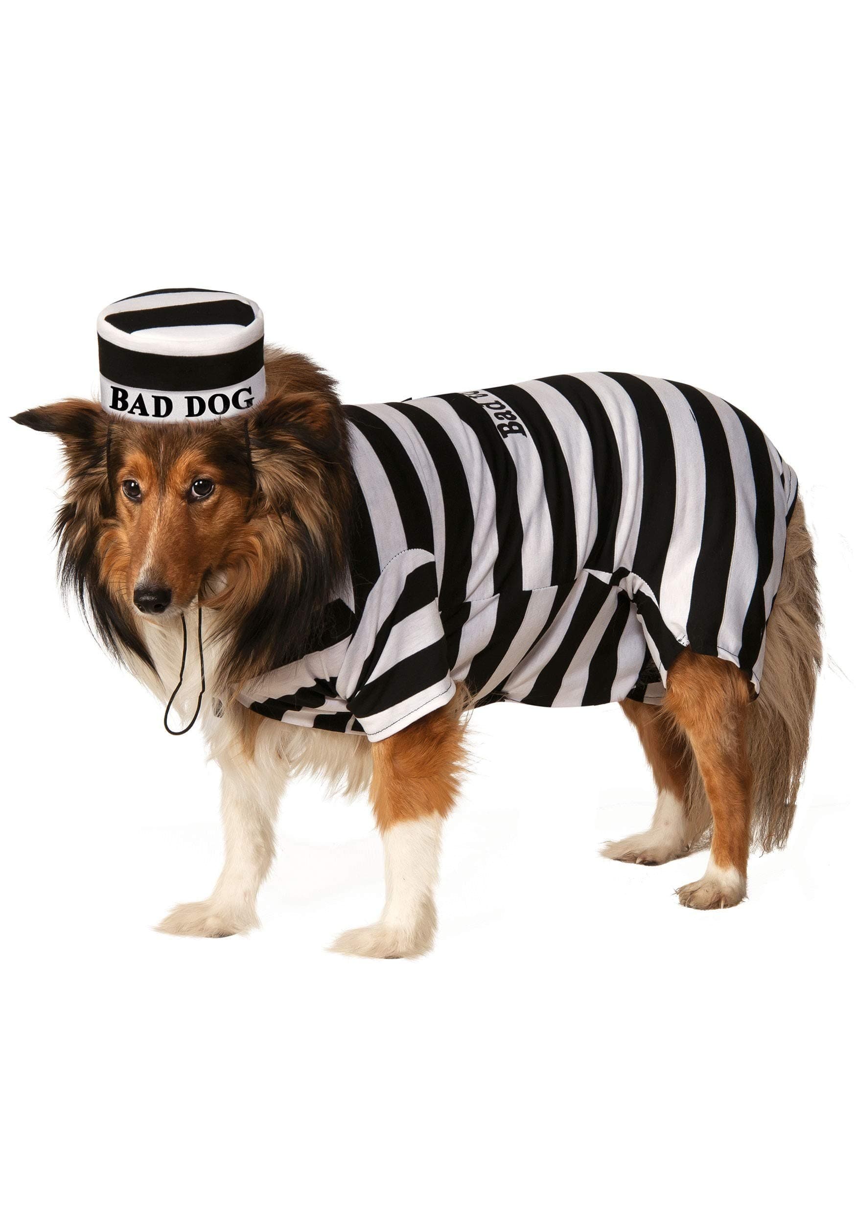 Rubie's Prisoner Pet Costume, Large
