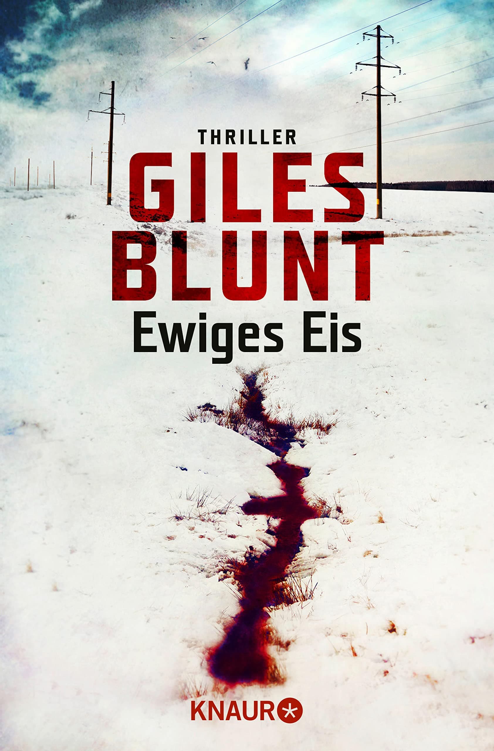 Ewiges Eis: Thriller (John Cardinal 6) (German Edition)
