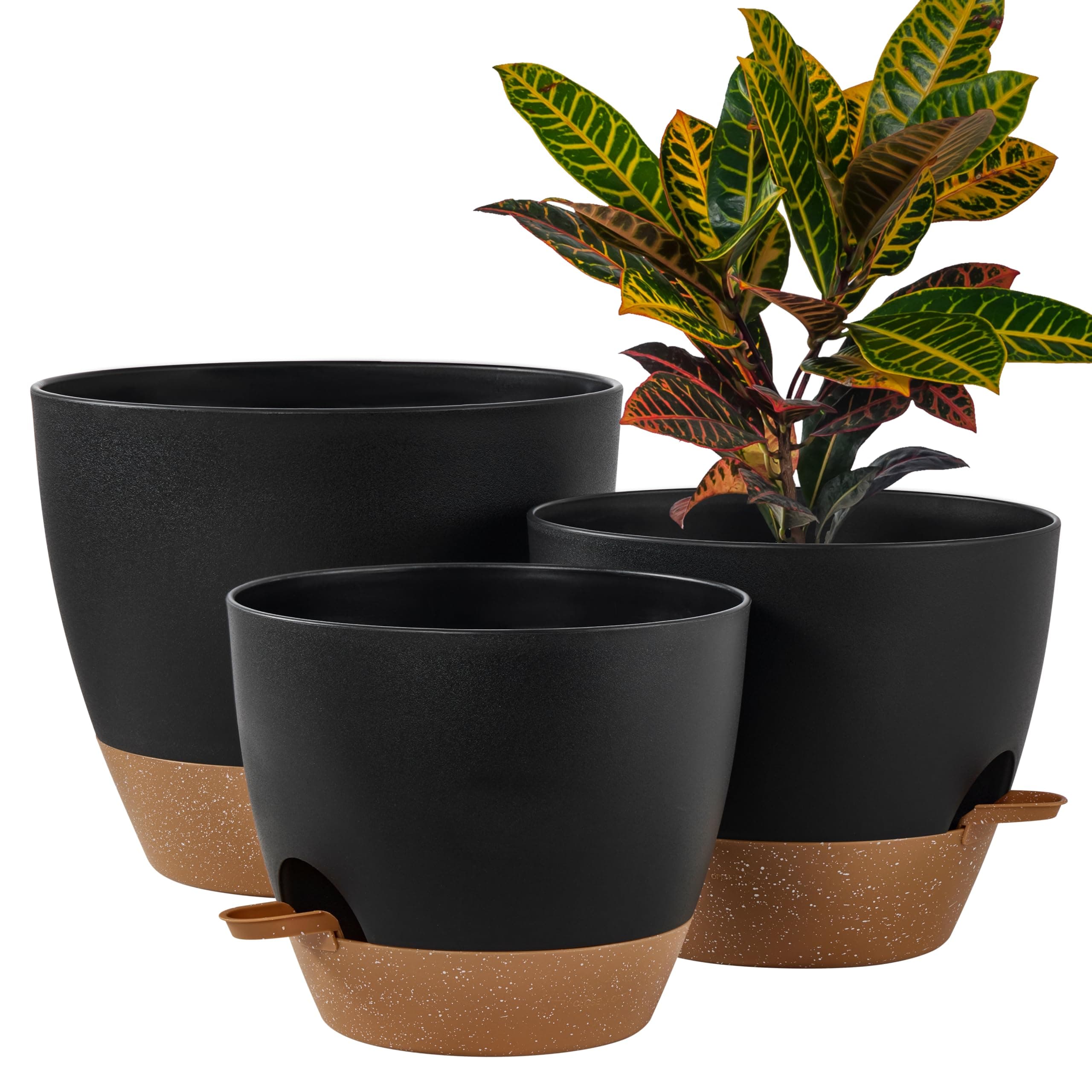 Plant Pot