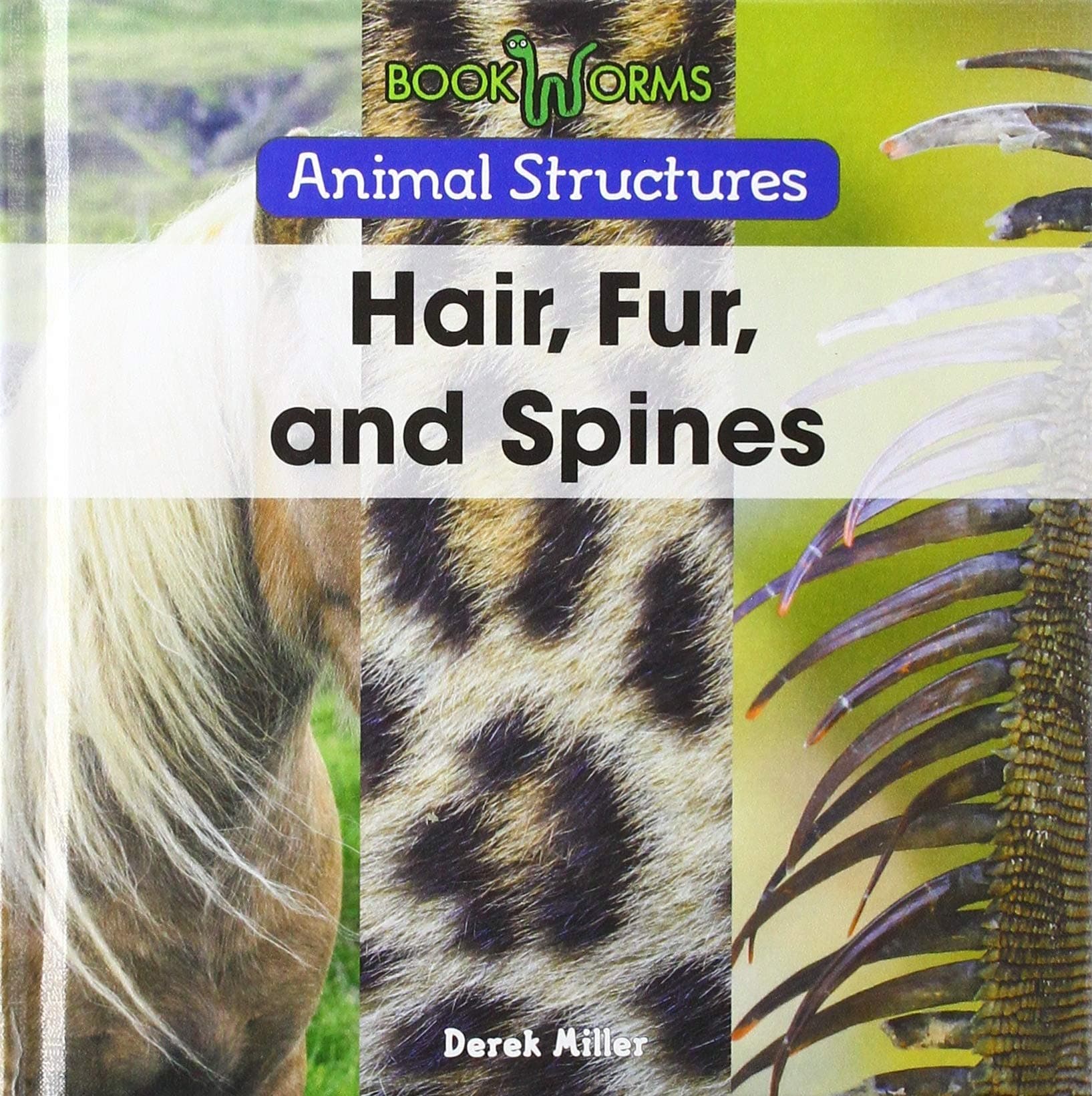 Hair, Fur, and Spines (Animal Structures)