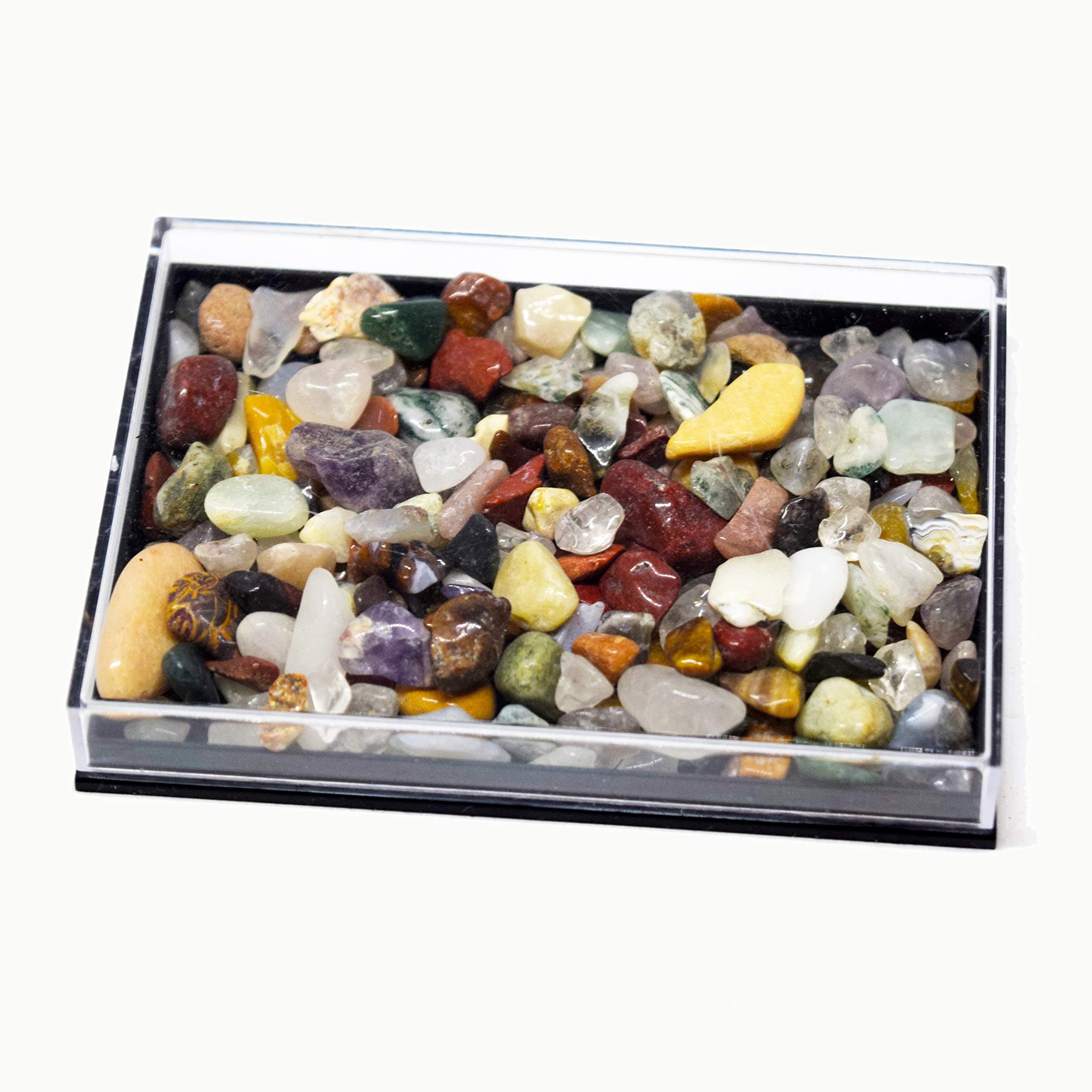 Jurassic JacksMy Little Gemstone Box Collection