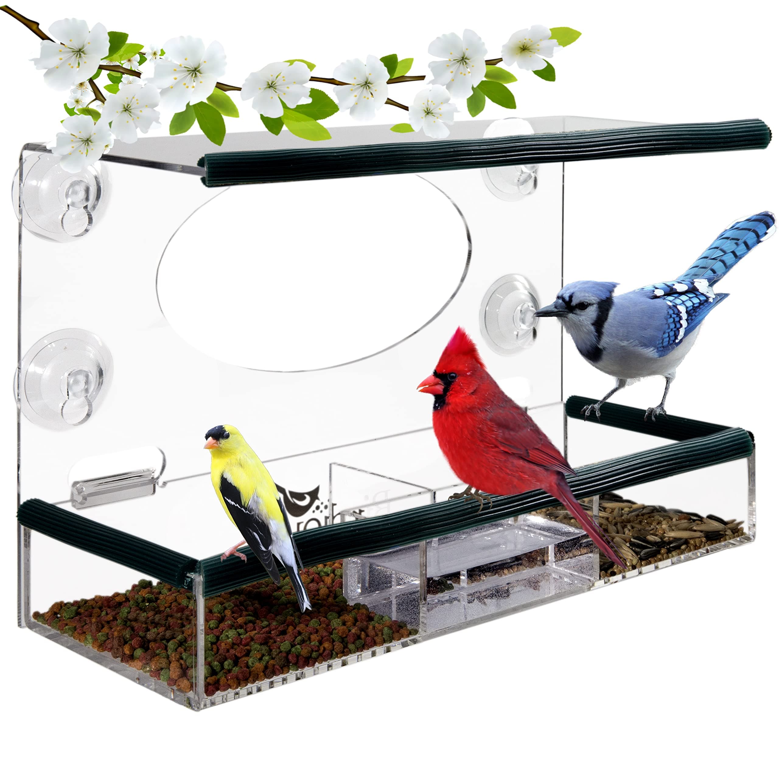 Wild Window Bird Feeder for Outside: Enjoy Unique View Small and Large Birds. Clear See Through, Strong Suction Cups with Removable Tray. Unusual Gifts