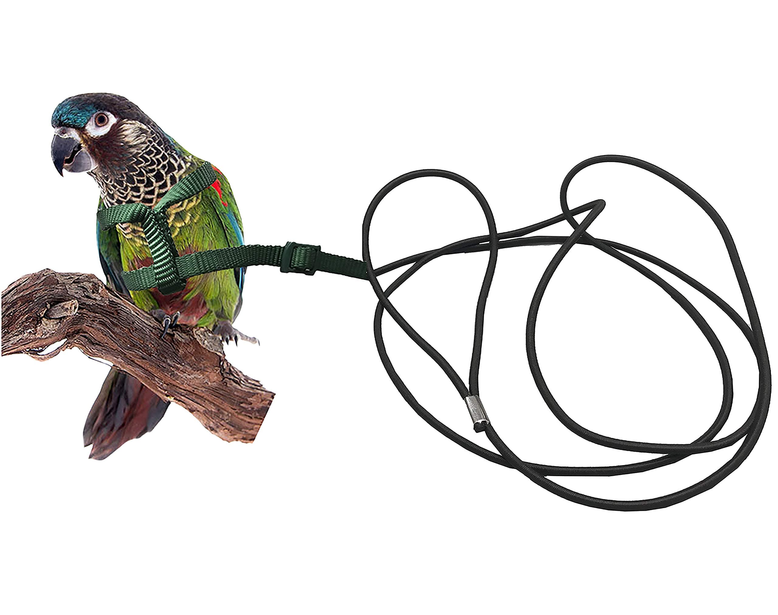 Bird Leash - Bird Harness for Conures- Adjustable Parrot Leash, Bird Nylon Rope, Anti Bite, Suitable for All Kinds of Small Parakeets Cockatiels, Conures, Macaws, Parrots, Love Birds, Finches