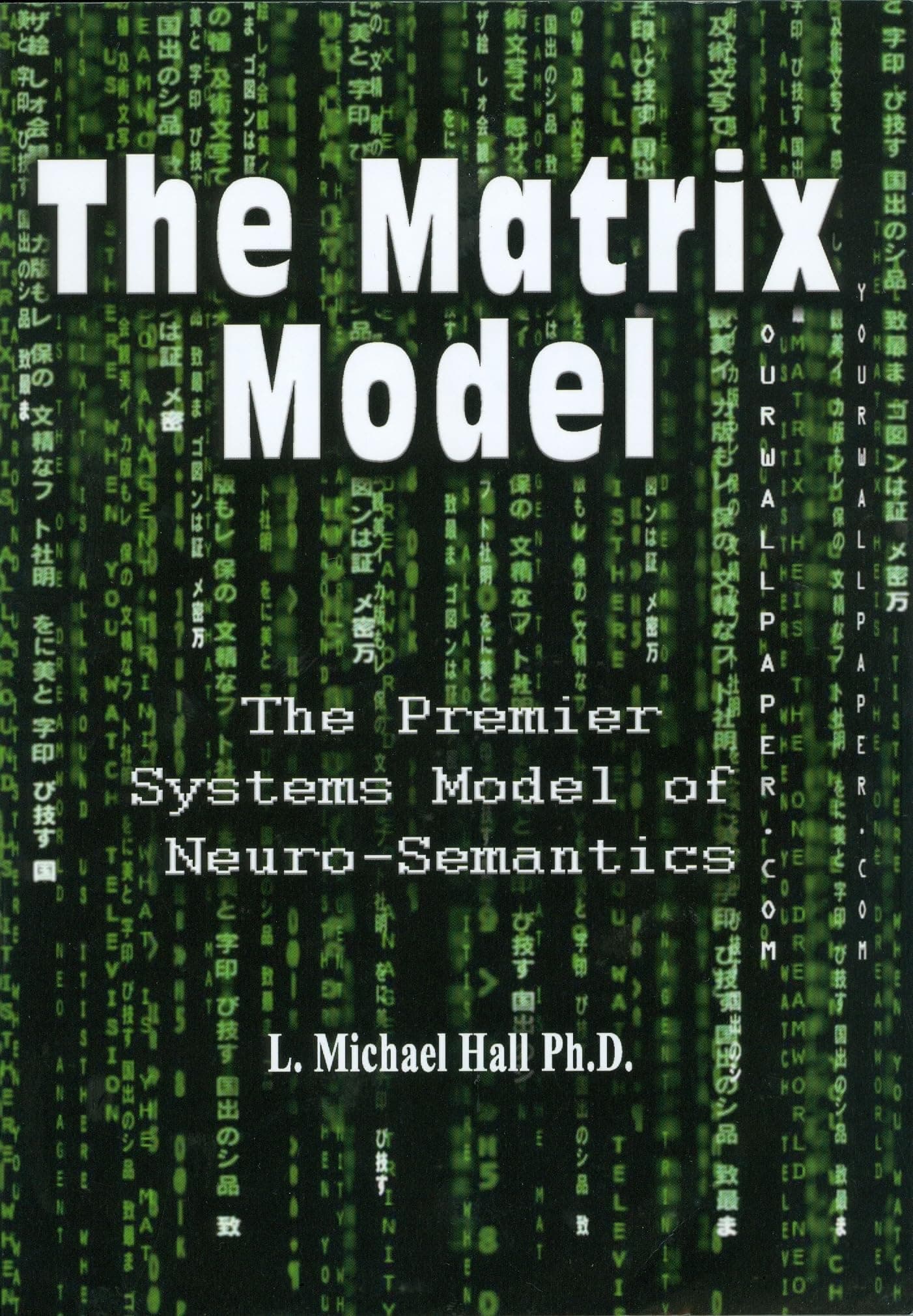 The Matrix Model: The Premier Systems Model of Neuro-semantics Paperback – 30 October 2016