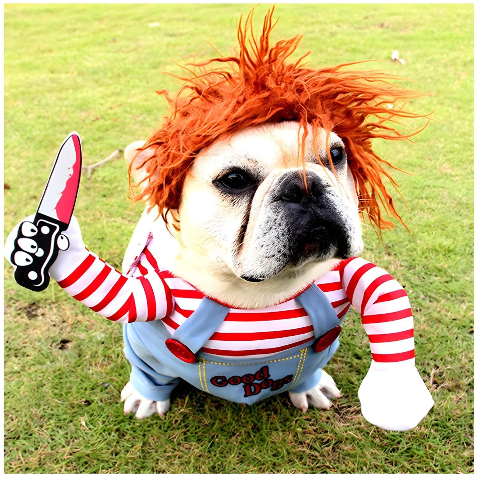 DELIFUR Dog Chucky Costume Pet Halloween Clothes Cat Cosplay Funny Party Suit Funny Dog Costume Small to Large Dog(Medium)