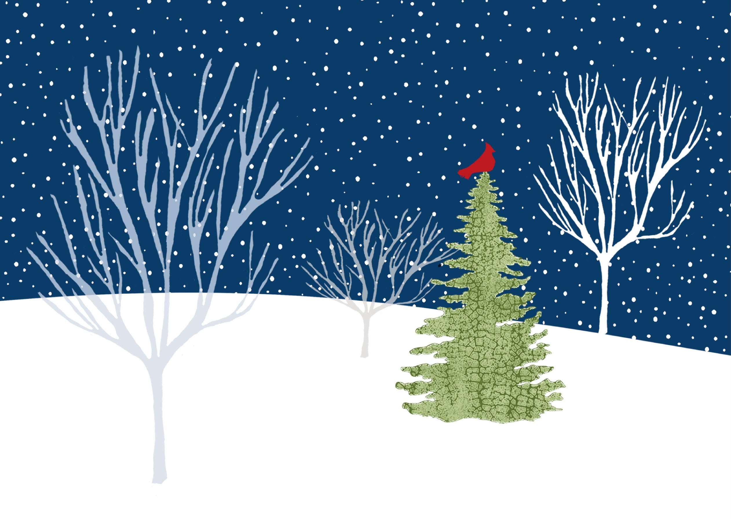 Deluxe Boxed Christmas Cards: Midnight Cardinal