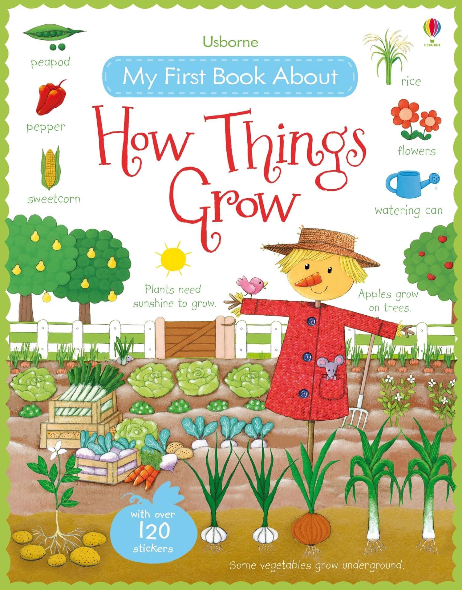 My First Book About How Things Grow (All About)