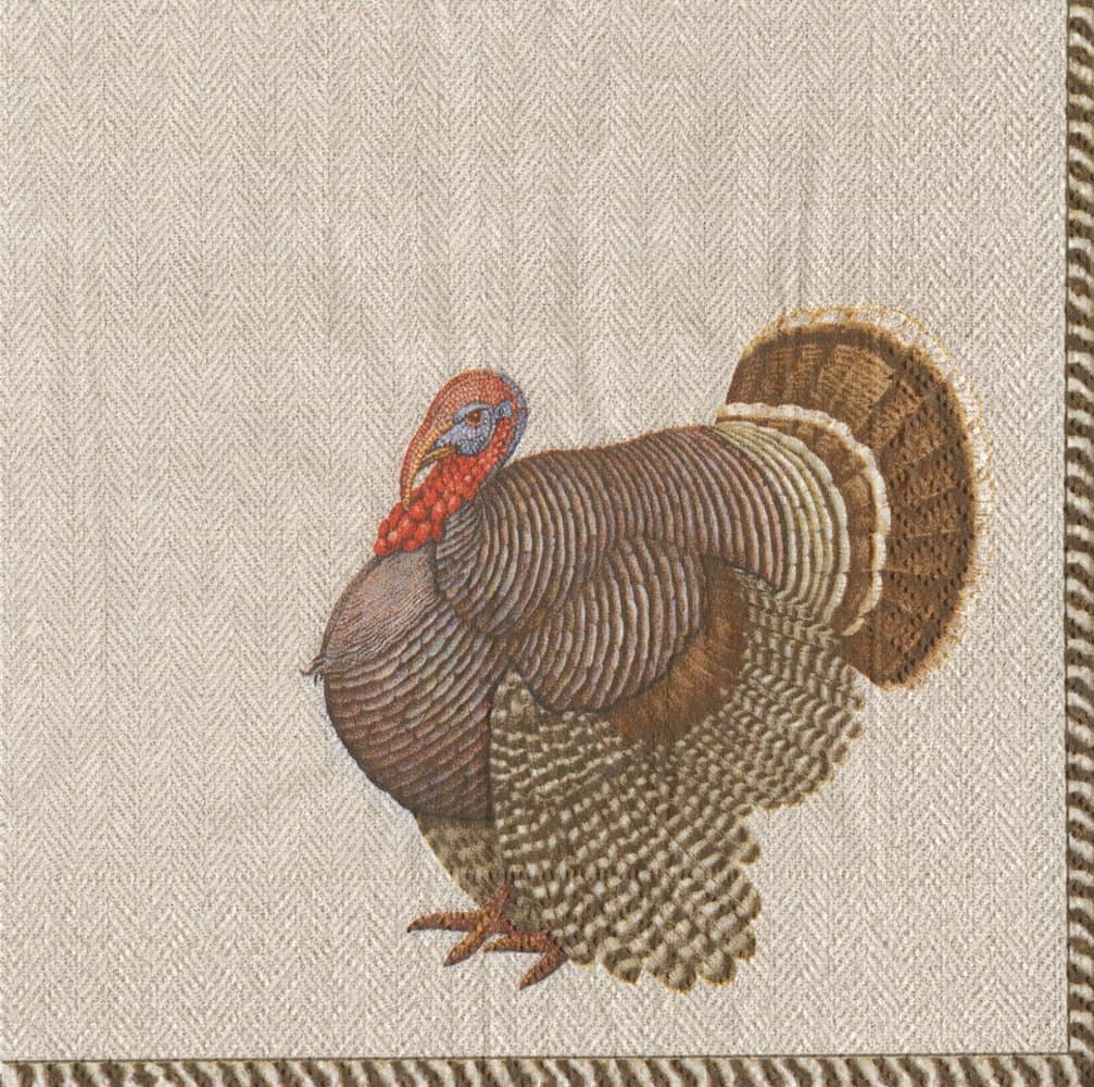 CaspariThomas T. Byrd, Cocktail Napkin