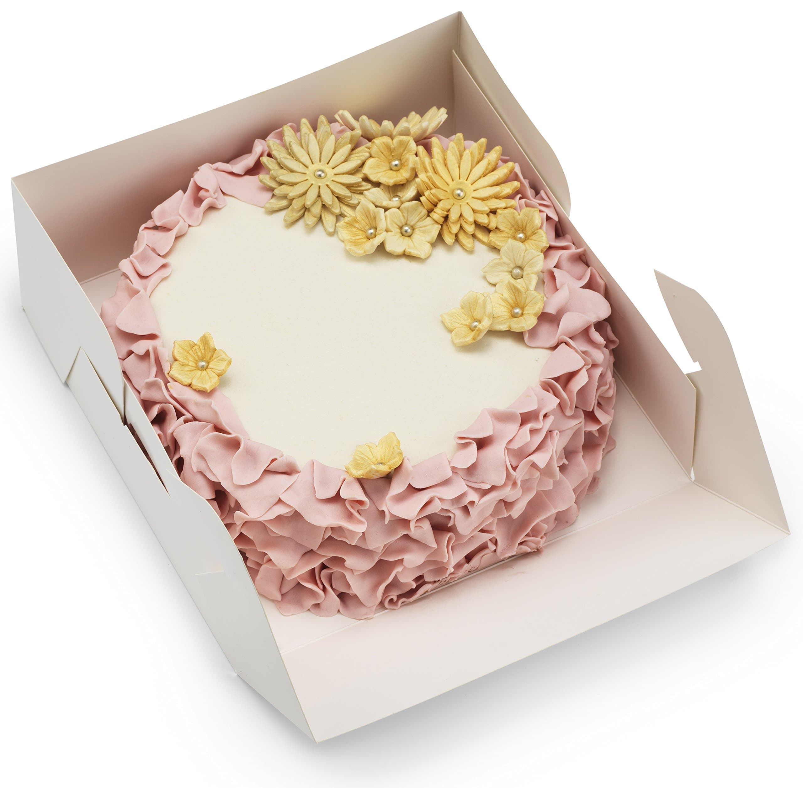 Cuisiner Thick Cake Boxes 10x10x4 With Window [25 pack] - Premium Cupcake, Bakery & Donut Cardboard Packaging Containers