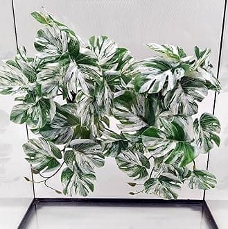 FLmoving Reptile Plants for Terrarium, Amphibian Habitat Decor Artificial Han...