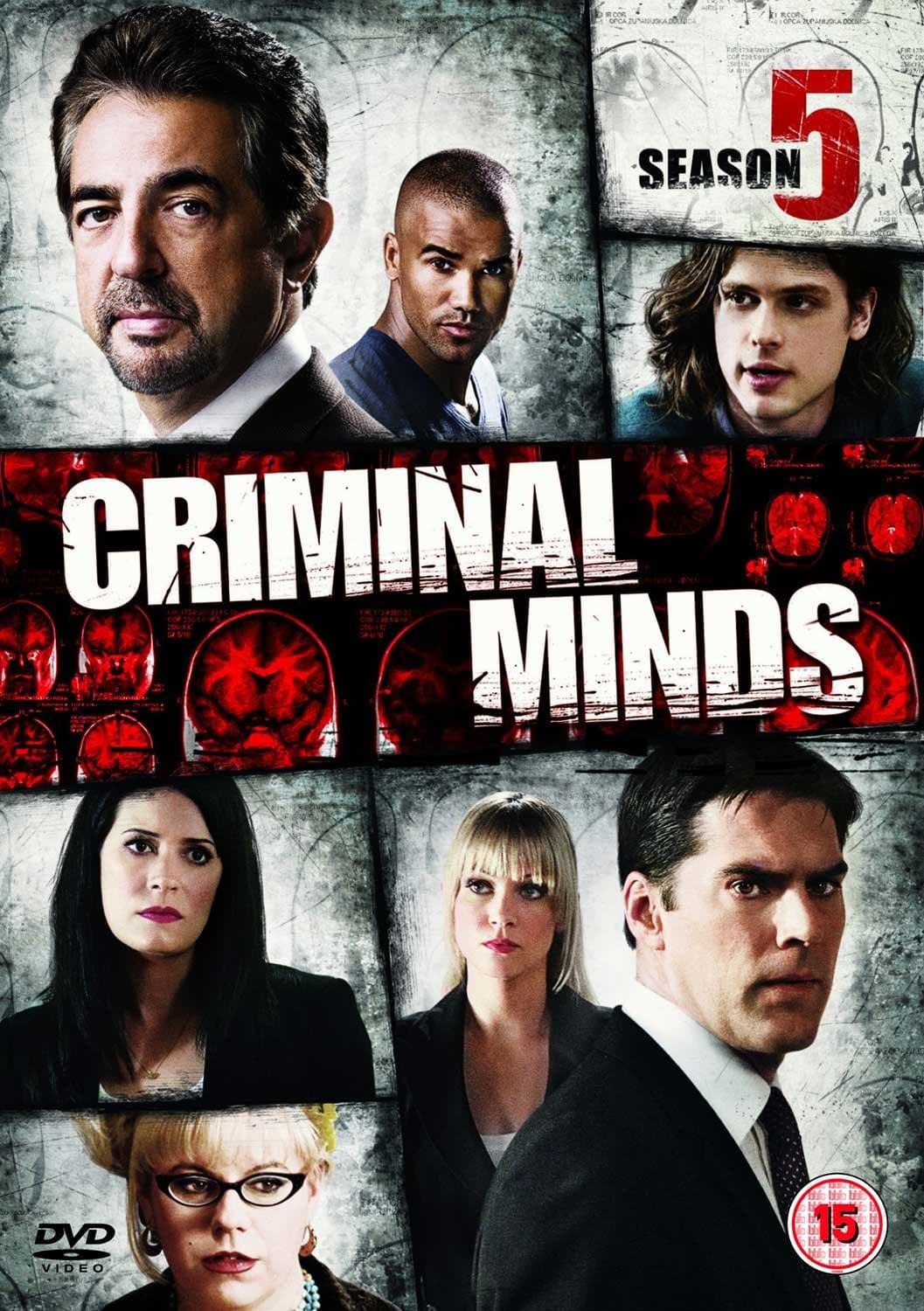 Criminal Minds - Season 5 [DVD]