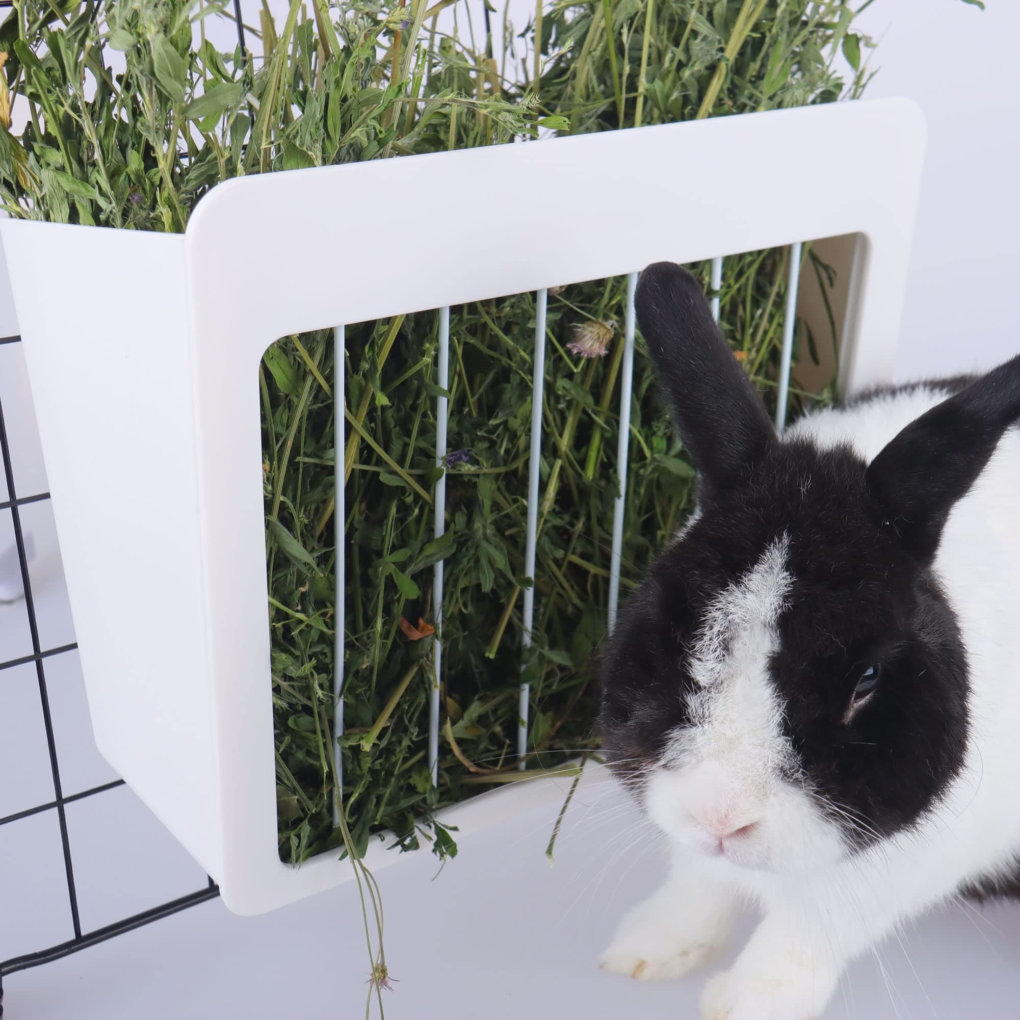 RUBYHOMERabbit Hay Feeder Rack Food Feeding Manger Bunny Grass Holder Small Animals Less Wasted Food Dispenser for Rabbits Guinea Pig Chinchilla Hamster