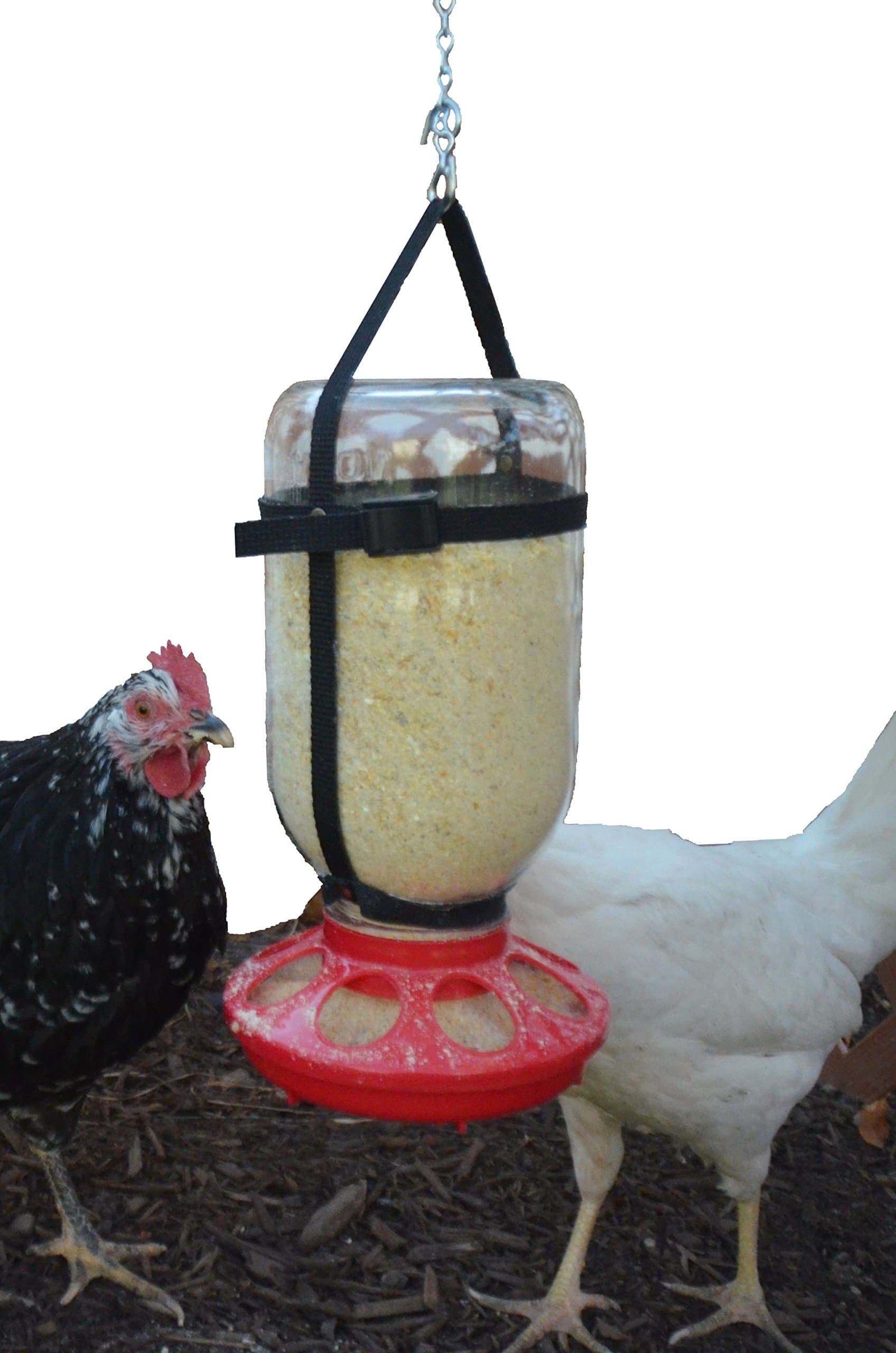 Your Happy Chicks 2 Qt. Hanging Harness