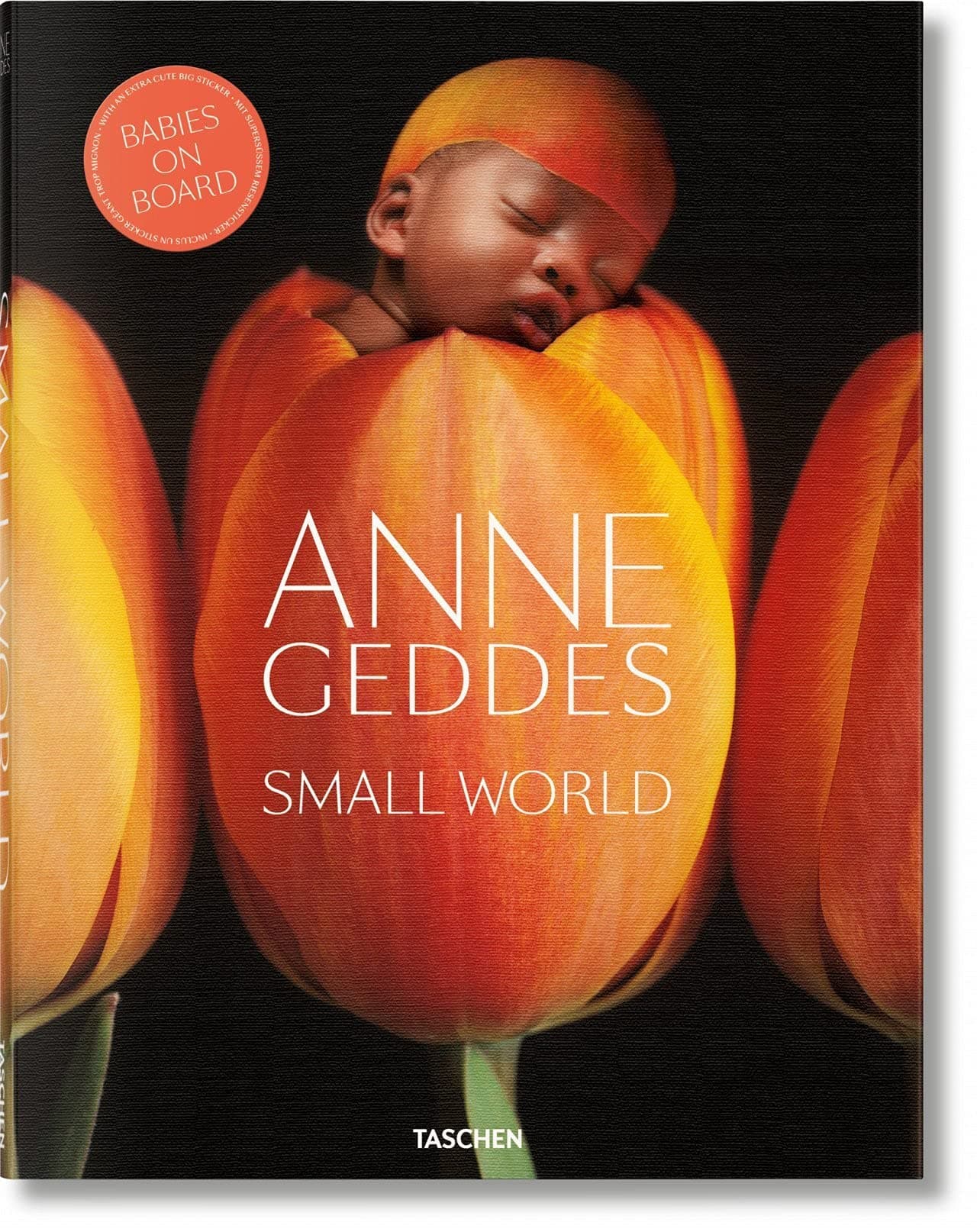Anne Geddes. Small World (Multilingual Edition)