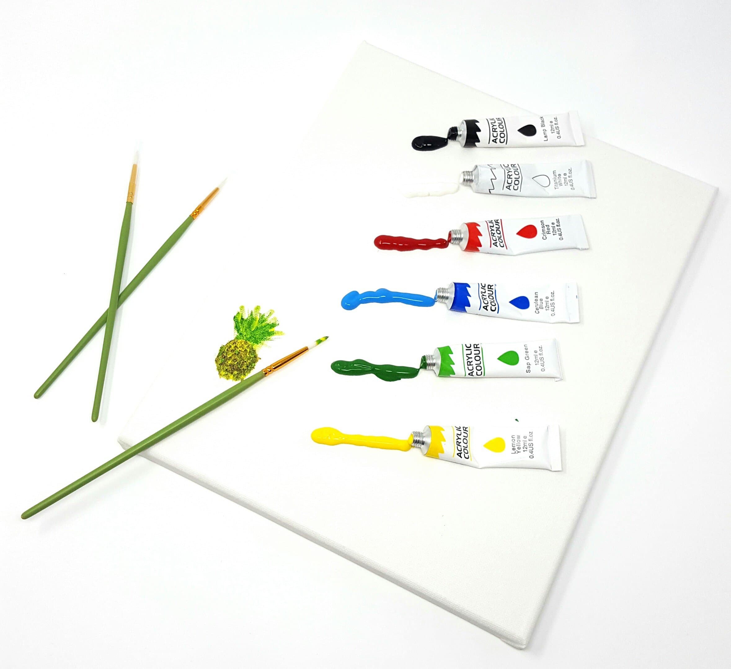 Acrylic Paint Triple Coated Primed A4 Canvas Set with Brushes