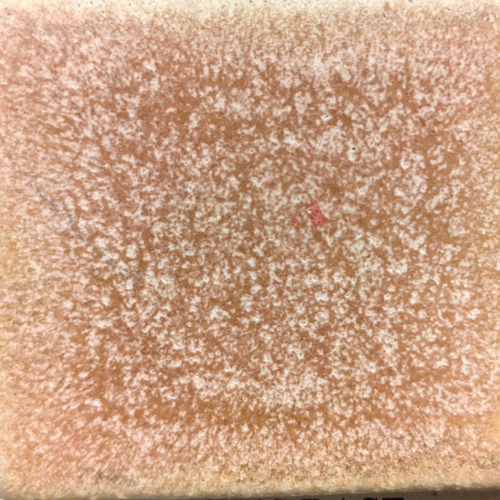 Coyote Glaze Archie's Base Pint