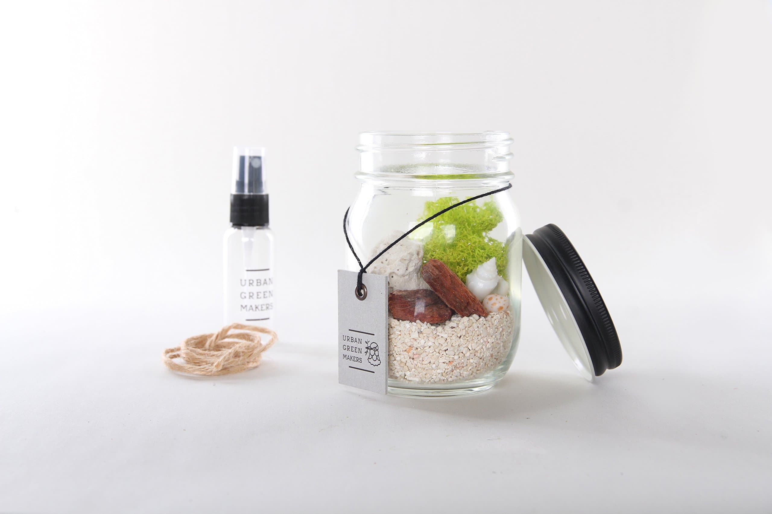 Glass Jar Terrarium DIY Kit - Includes Moss, Bark Chips, & Other Supplies - Great for Air Plants - Unique & Customizable (Urban Green Makers Kit 1)