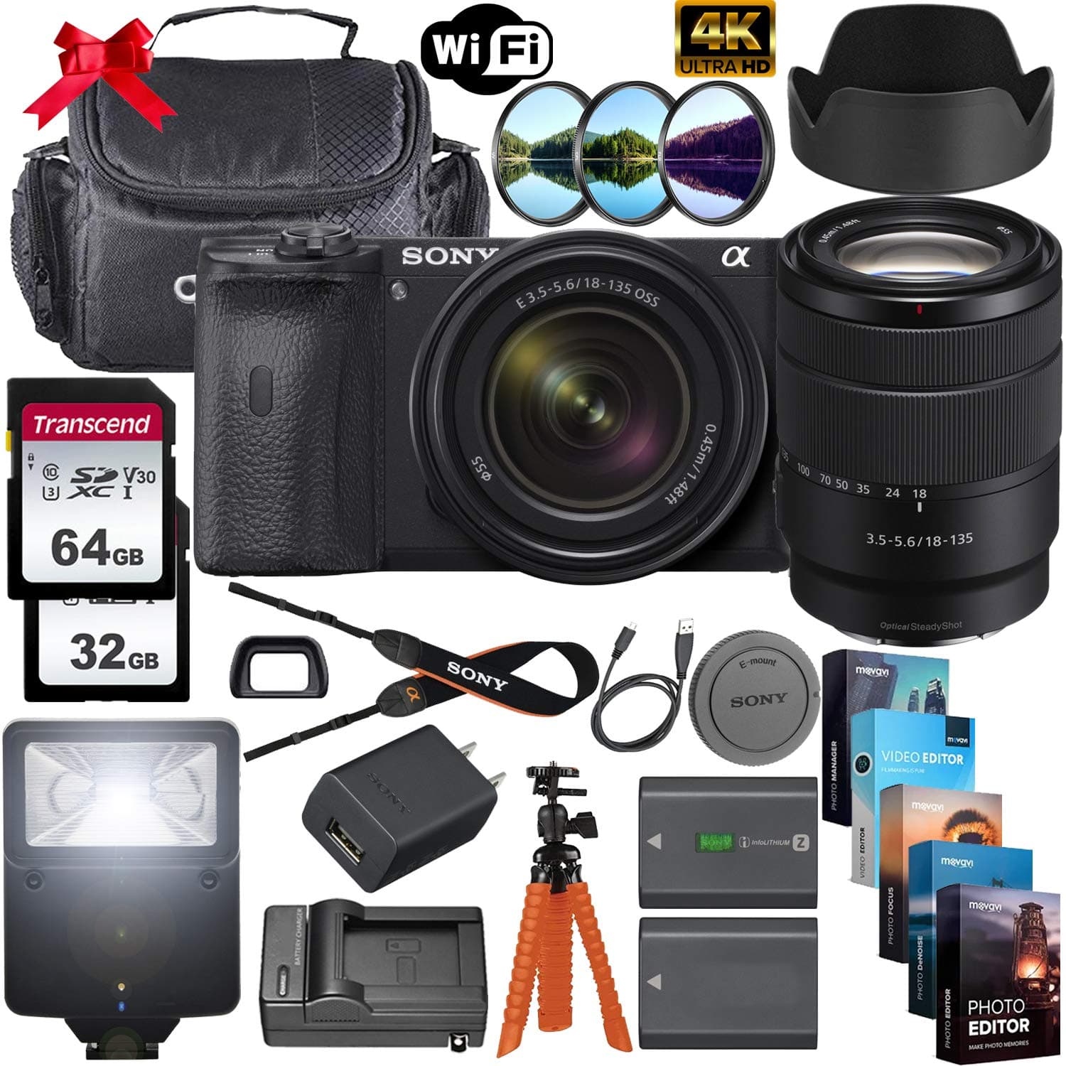 Sony Alpha a6600 Mirrorless Digital Camera 24.2MP 4K with 18-135mm Lens + 64GB & 32GB Memory Cards, Sturdy Equipment Carrying Case, Spider Tripod, Camera Flash, Software Kit and More
