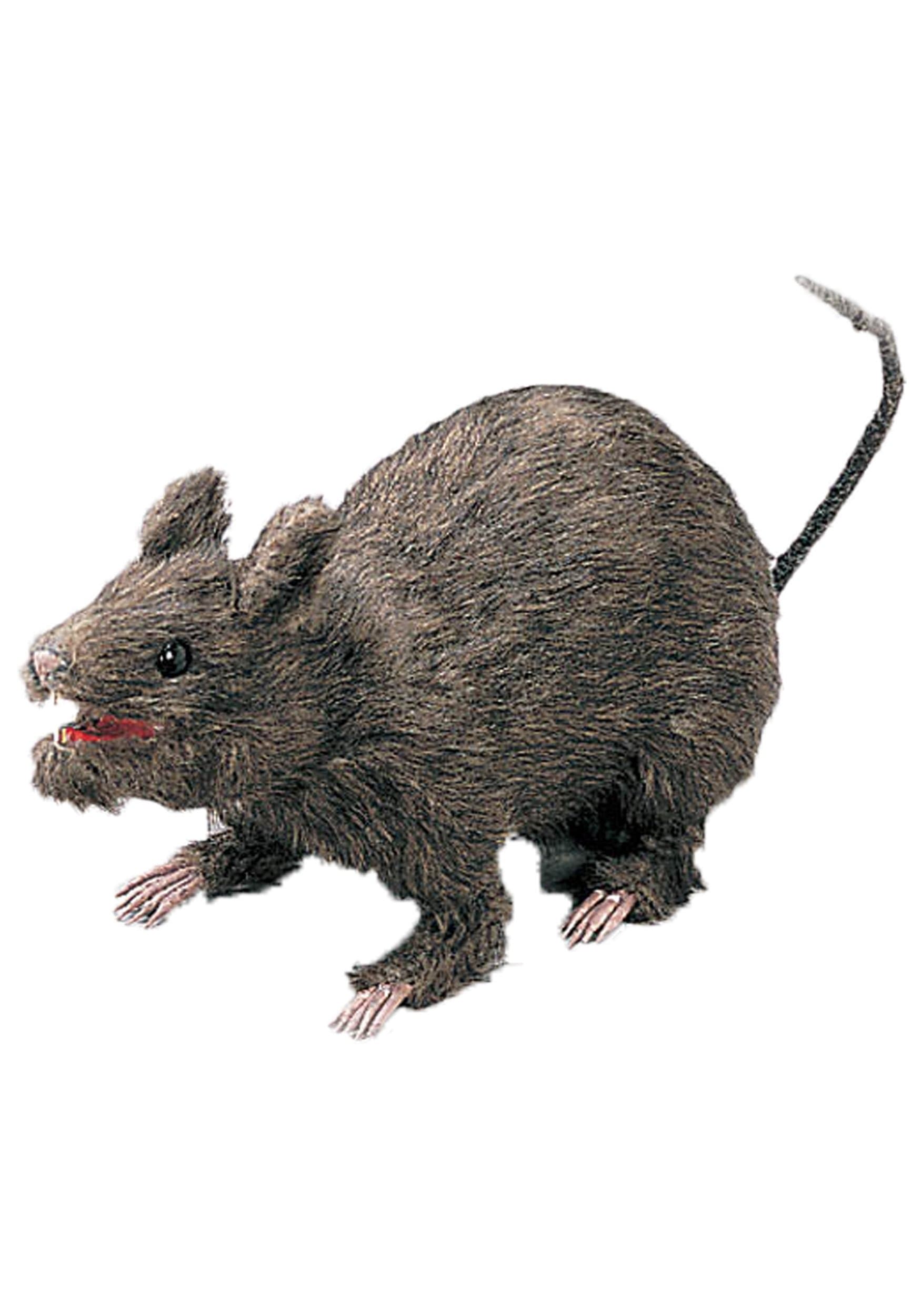 Large Hairy Rat Decoration and Prop